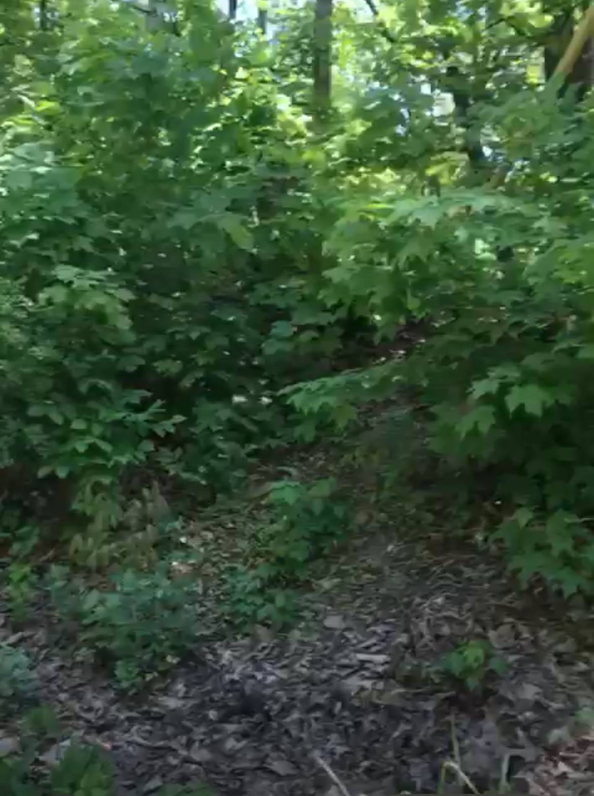 #1 photo, 190 BROOK Trail, Greenwood Lake, New York 10990, Warwick , NY 10990