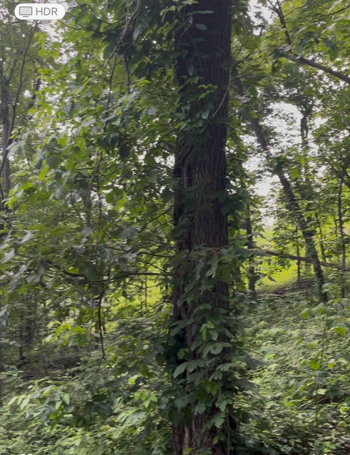 #10 photo, 190 BROOK Trail, Greenwood Lake, New York 10990, Warwick , NY 10990