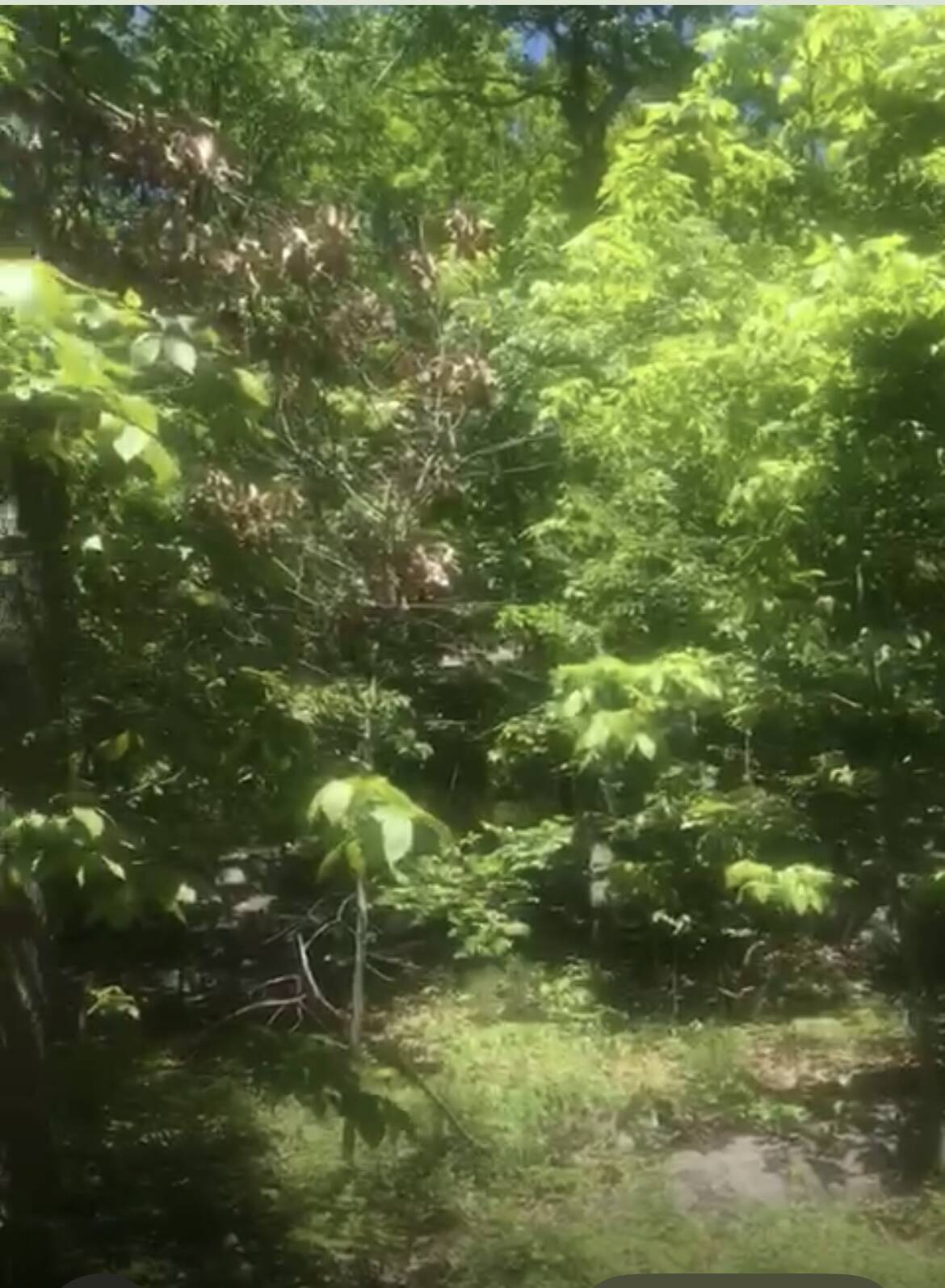 #2 photo, 190 BROOK Trail, Greenwood Lake, New York 10990, Warwick , NY 10990