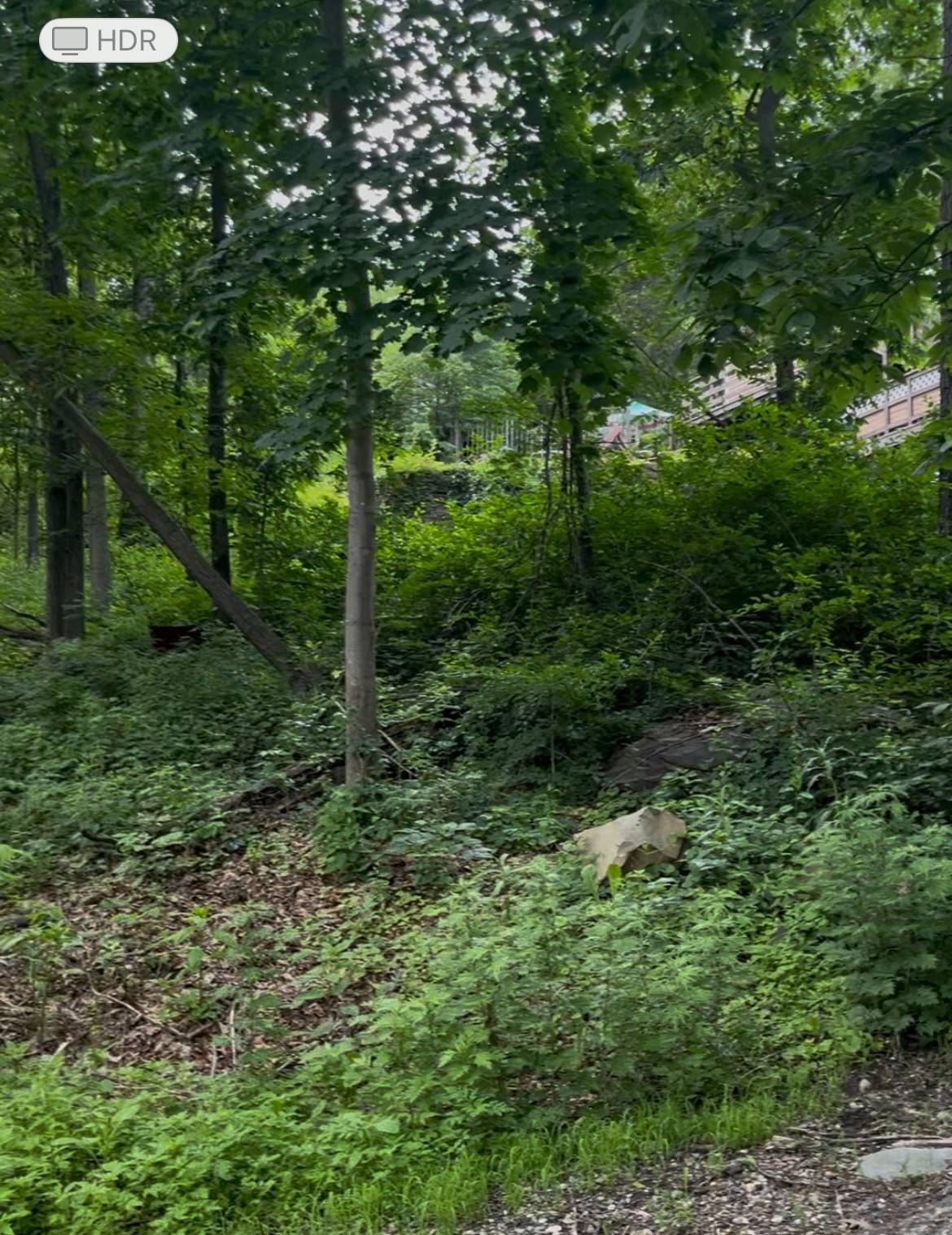 #6 photo, 190 BROOK Trail, Greenwood Lake, New York 10990, Warwick , NY 10990