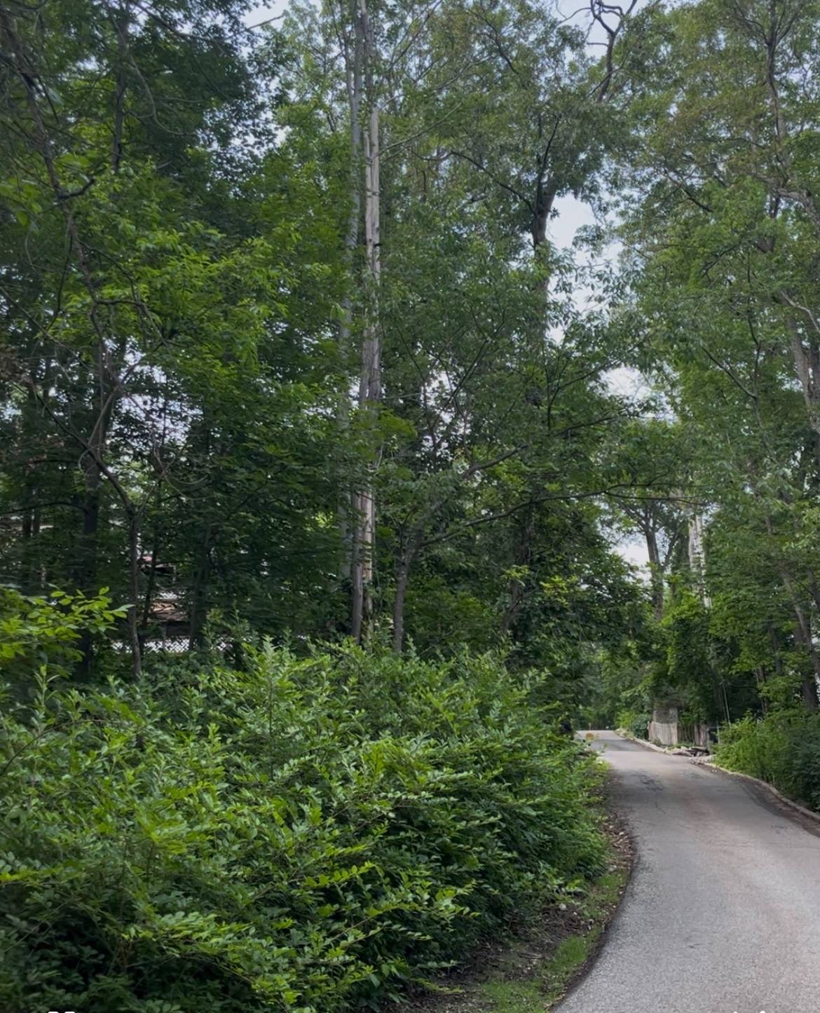 #8 photo, 190 BROOK Trail, Greenwood Lake, New York 10990, Warwick , NY 10990