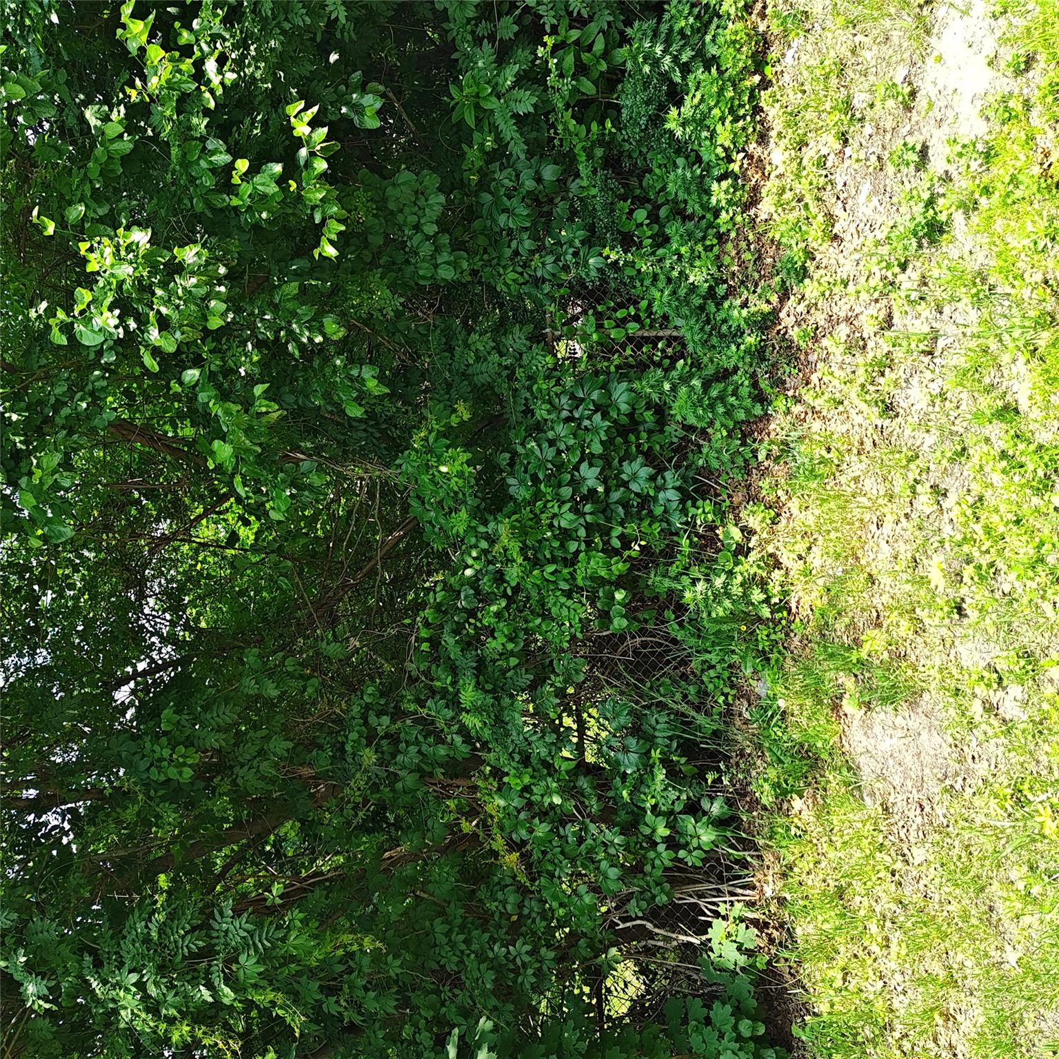 #1 photo, 105 Gray Avenue, 東長島 Medford , NY 11763