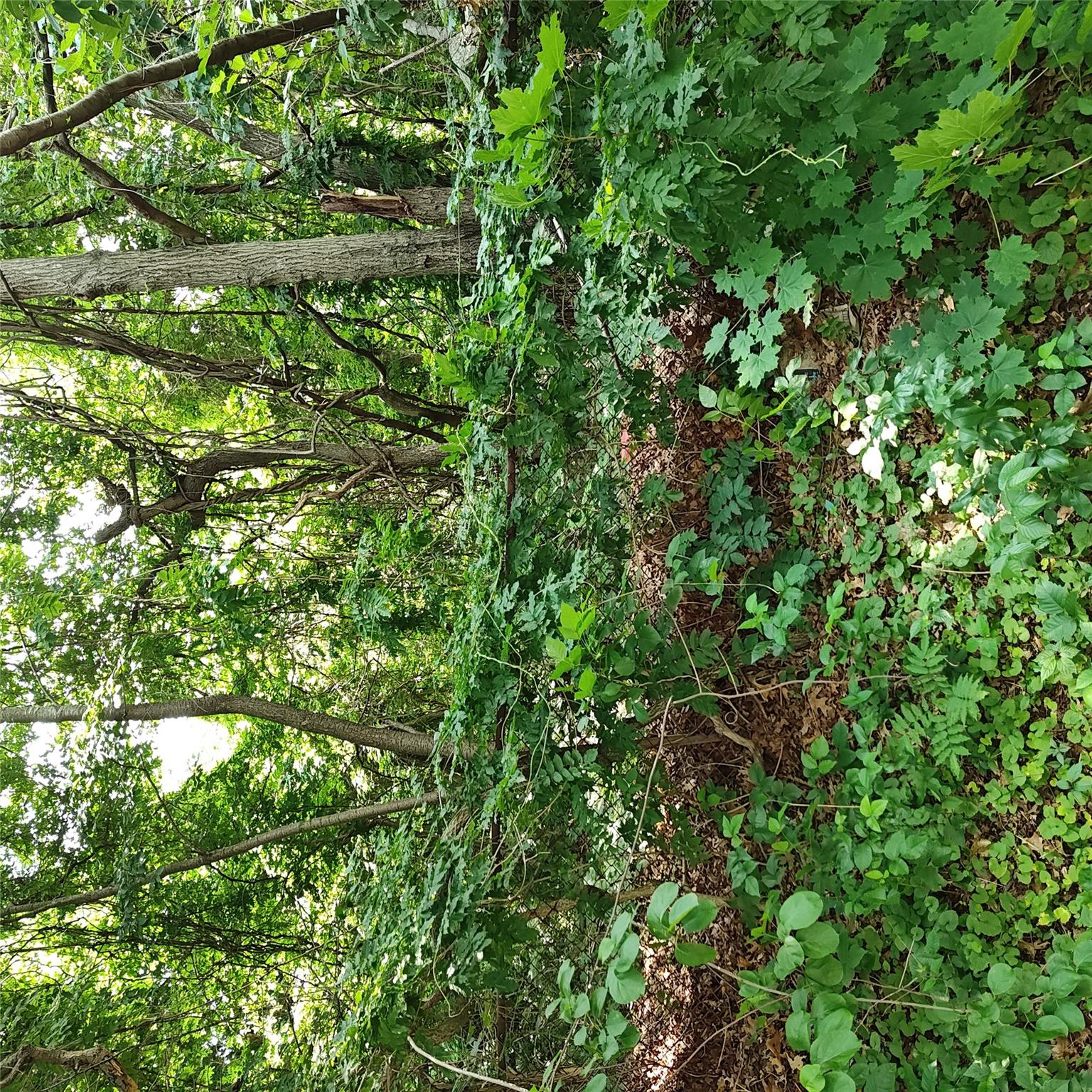 #10 photo, 105 Gray Avenue, 東長島 Medford , NY 11763