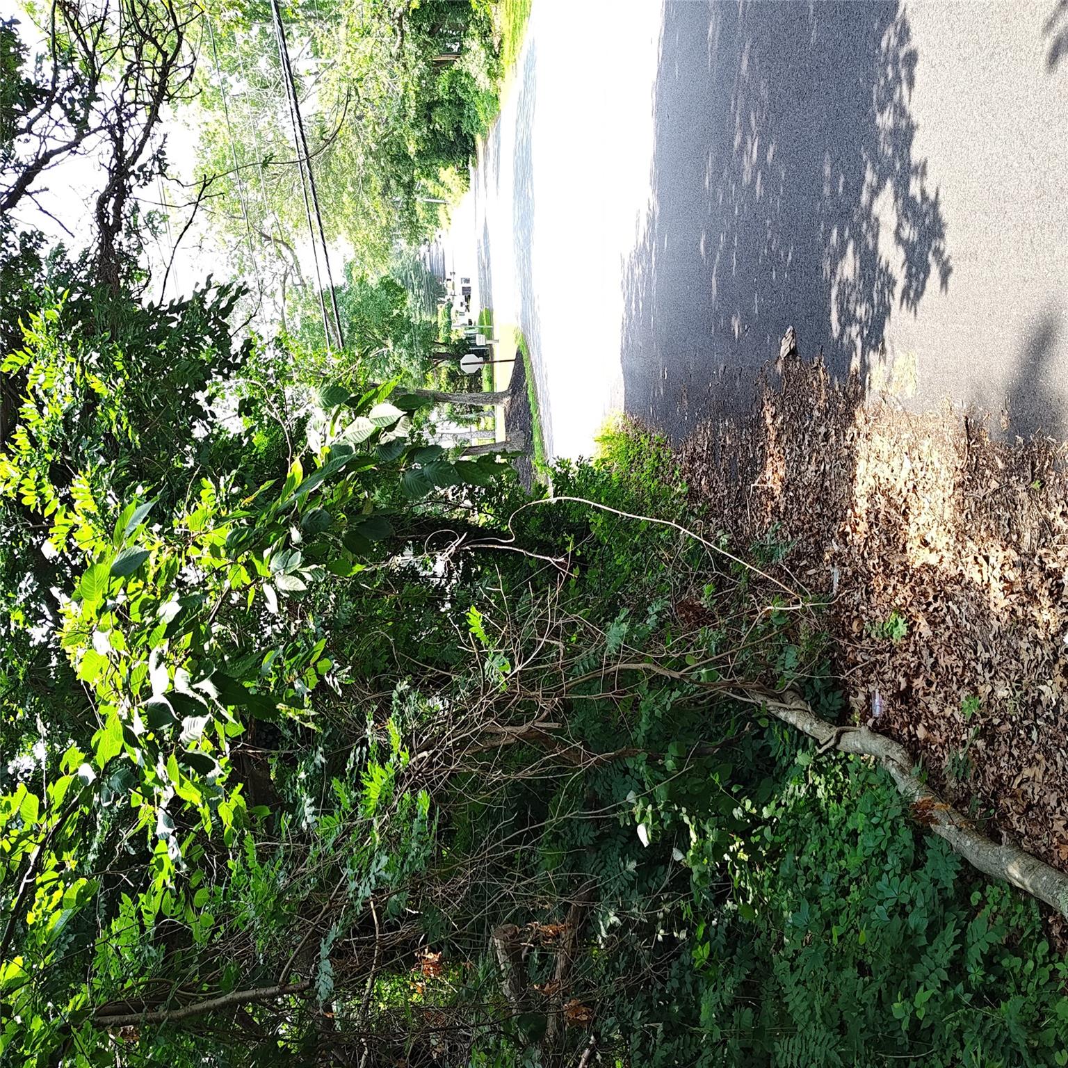 #11 photo, 105 Gray Avenue, 東長島 Medford , NY 11763