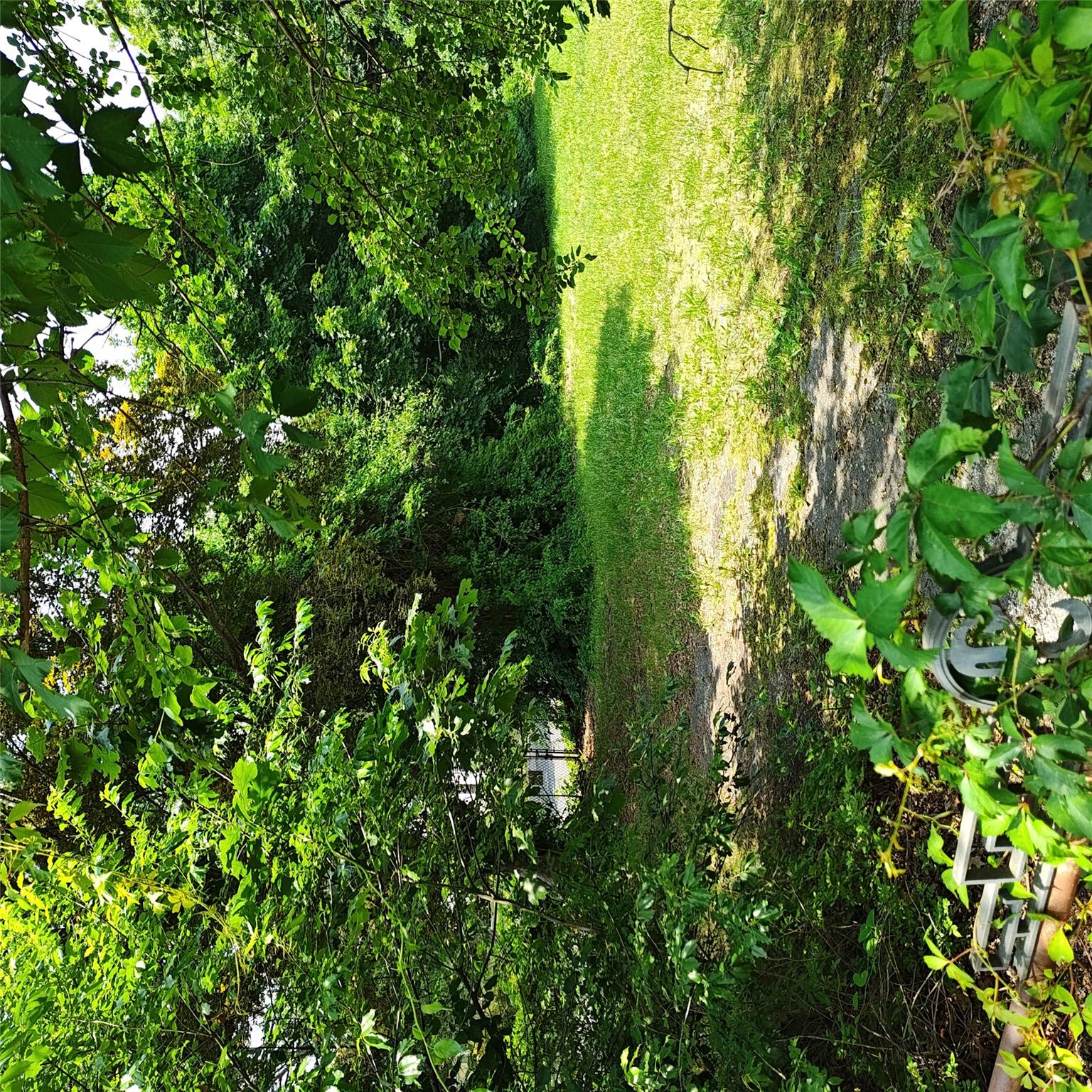 #12 photo, 105 Gray Avenue, 東長島 Medford , NY 11763