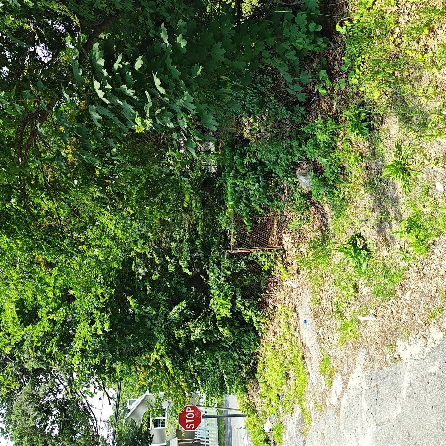 #3 photo, 105 Gray Avenue, 東長島 Medford , NY 11763