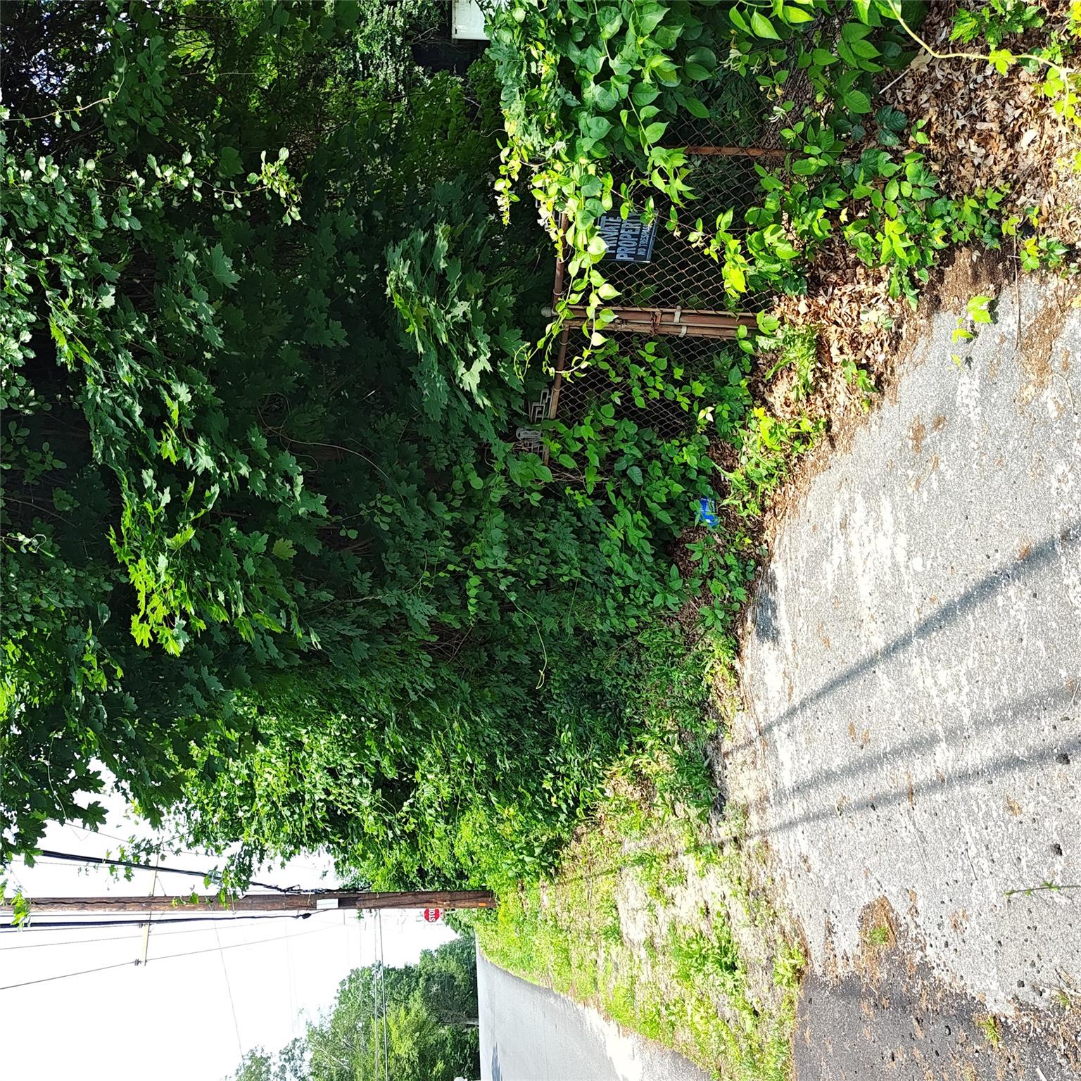 #5 photo, 105 Gray Avenue, 東長島 Medford , NY 11763