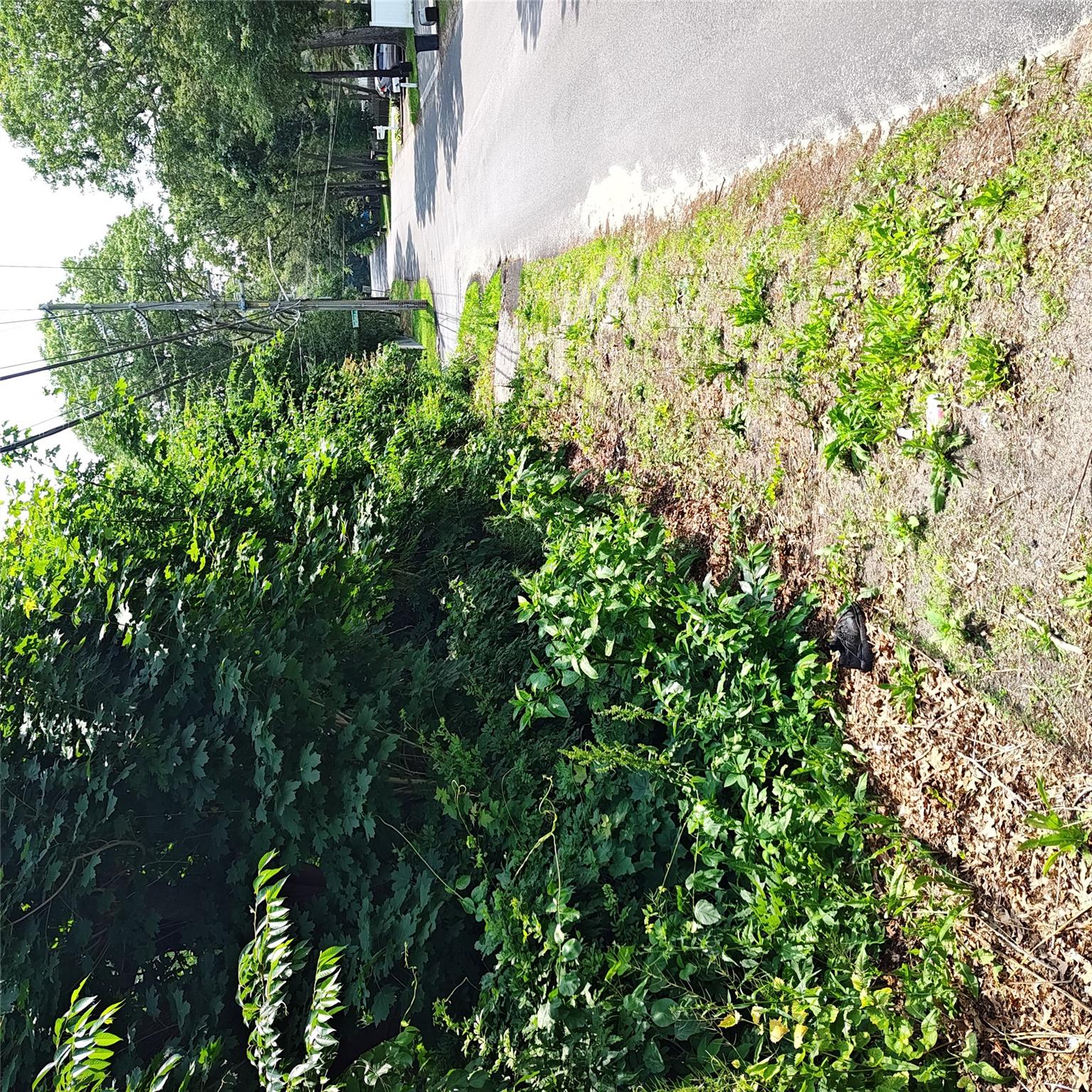 #8 photo, 105 Gray Avenue, 東長島 Medford , NY 11763