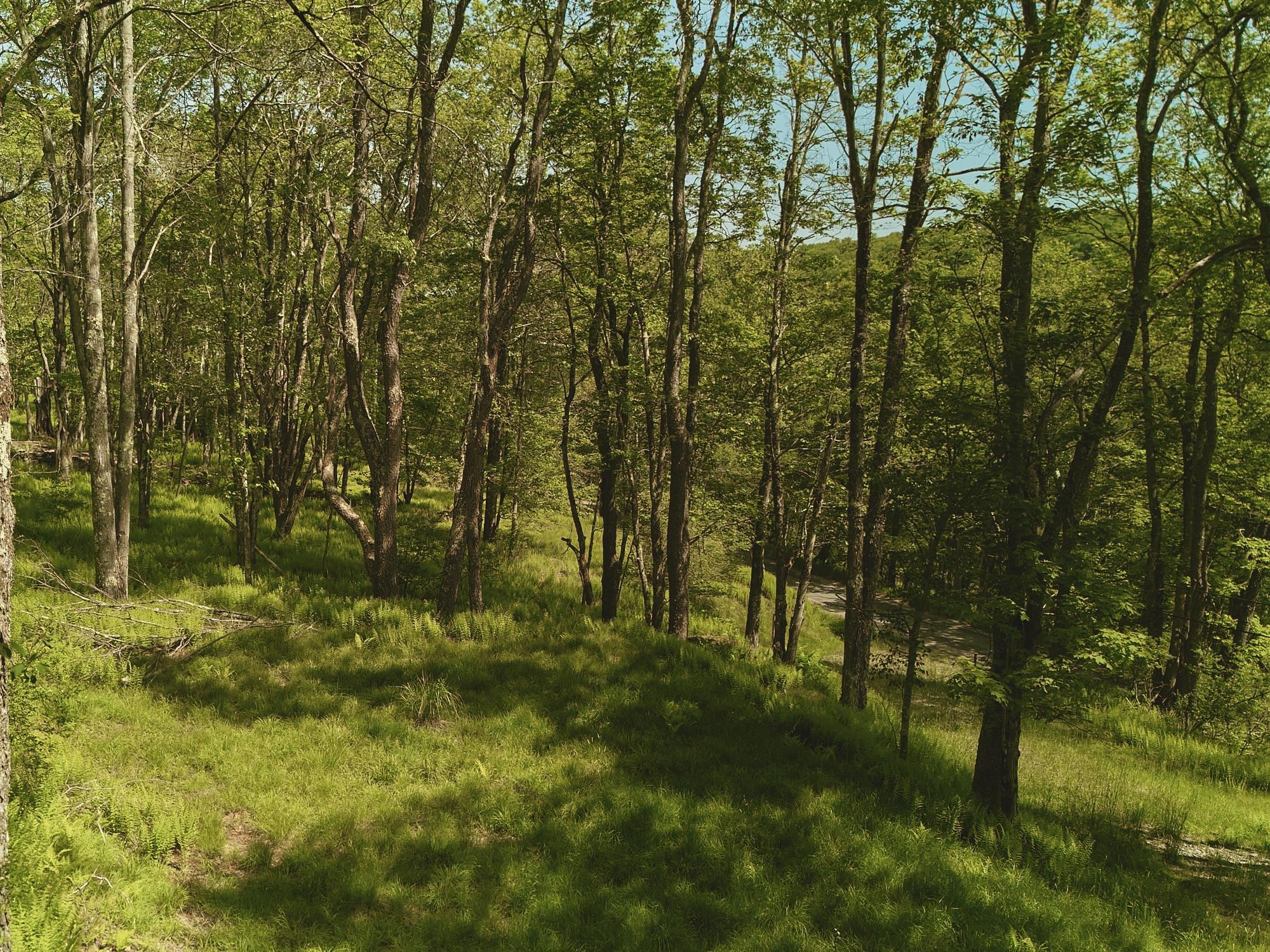 #10 photo, 00 Benton Hollow, Liberty , NY 12754