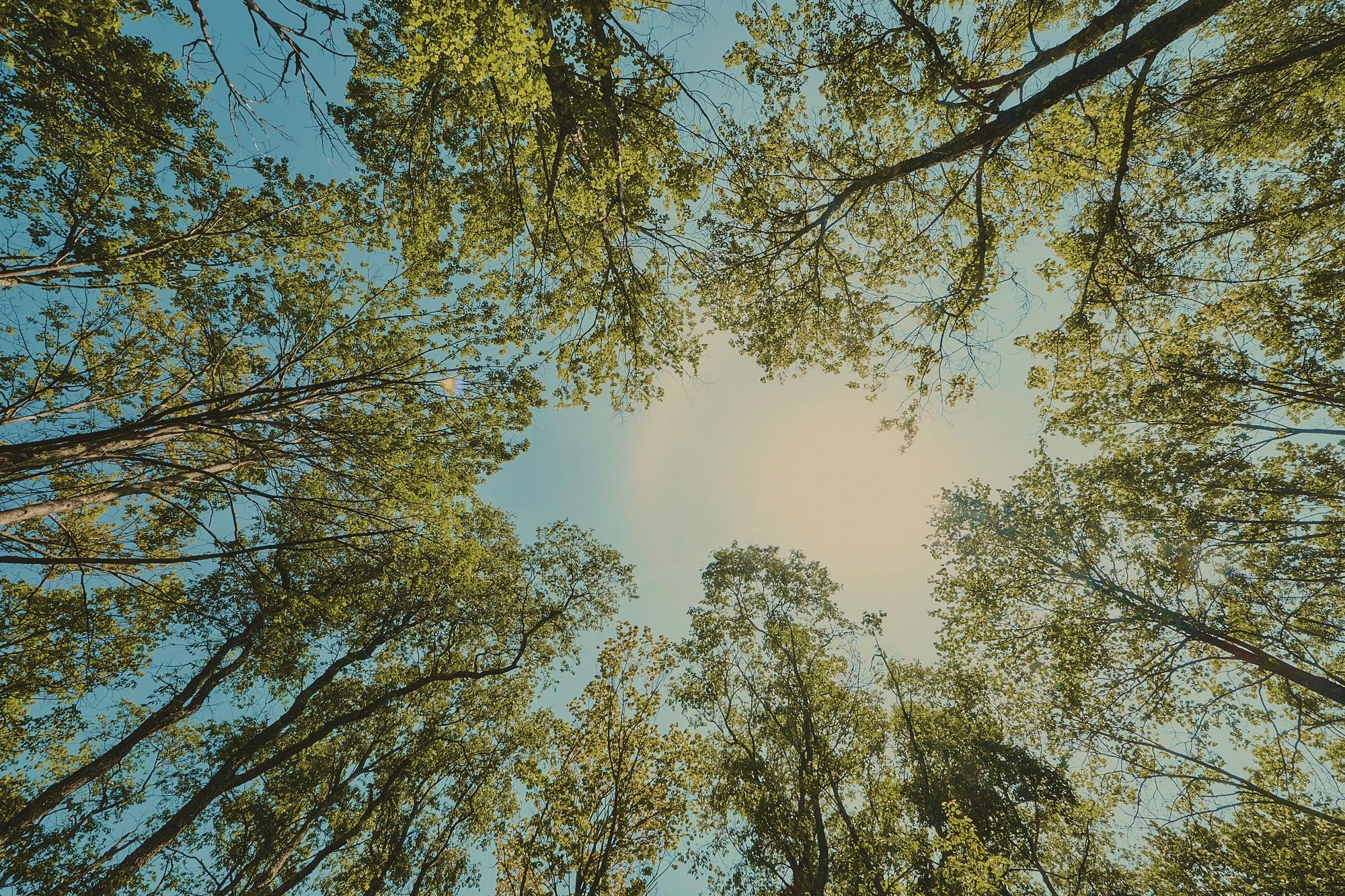 #14 photo, 00 Benton Hollow, Liberty , NY 12754