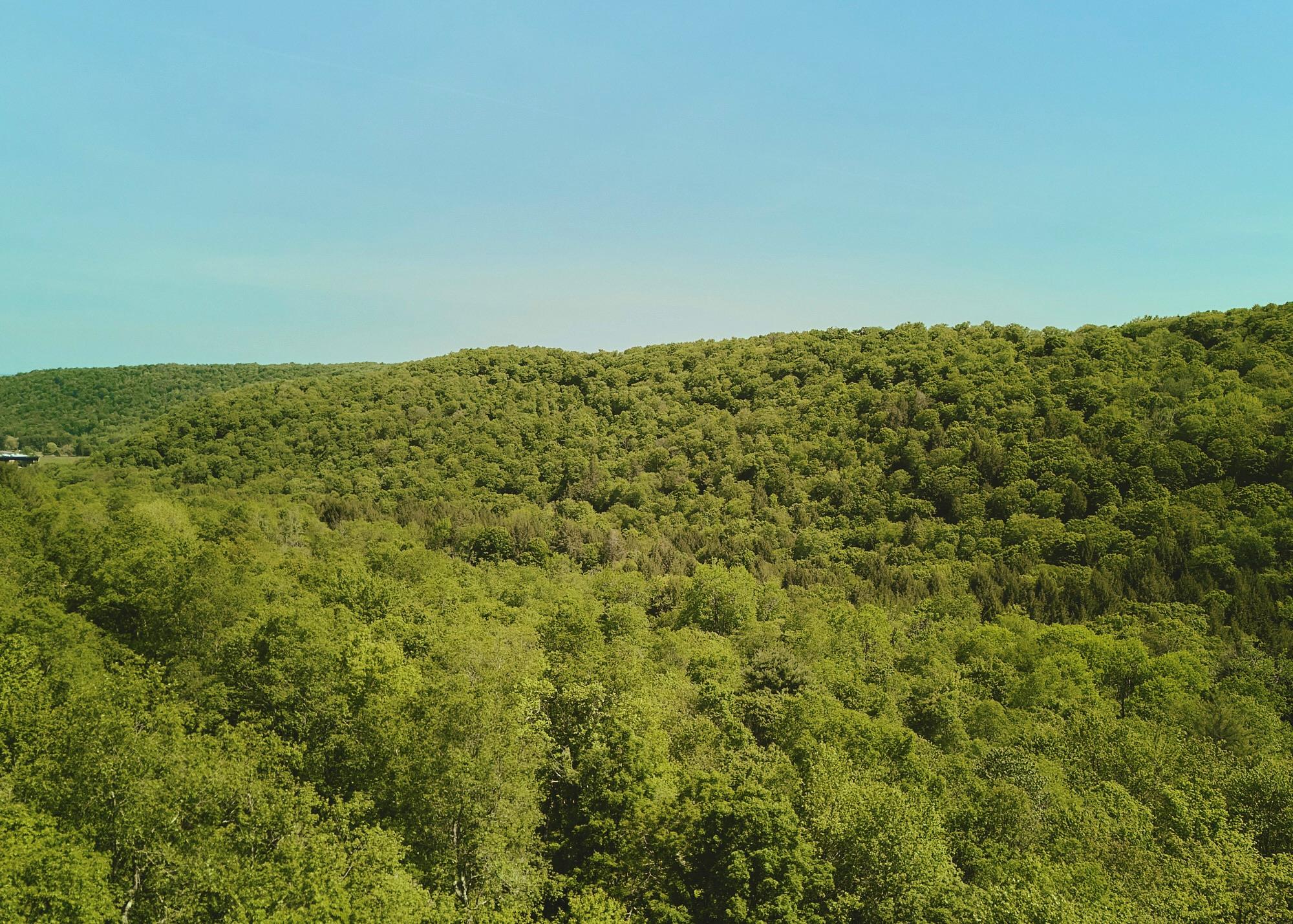 #15 photo, 00 Benton Hollow, Liberty , NY 12754