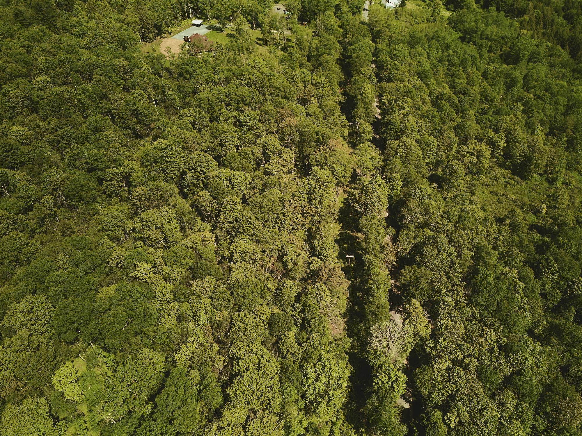 #3 photo, 00 Benton Hollow, Liberty , NY 12754