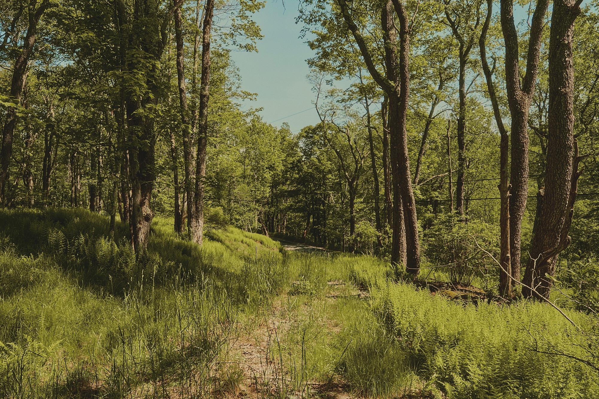 #6 photo, 00 Benton Hollow, Liberty , NY 12754