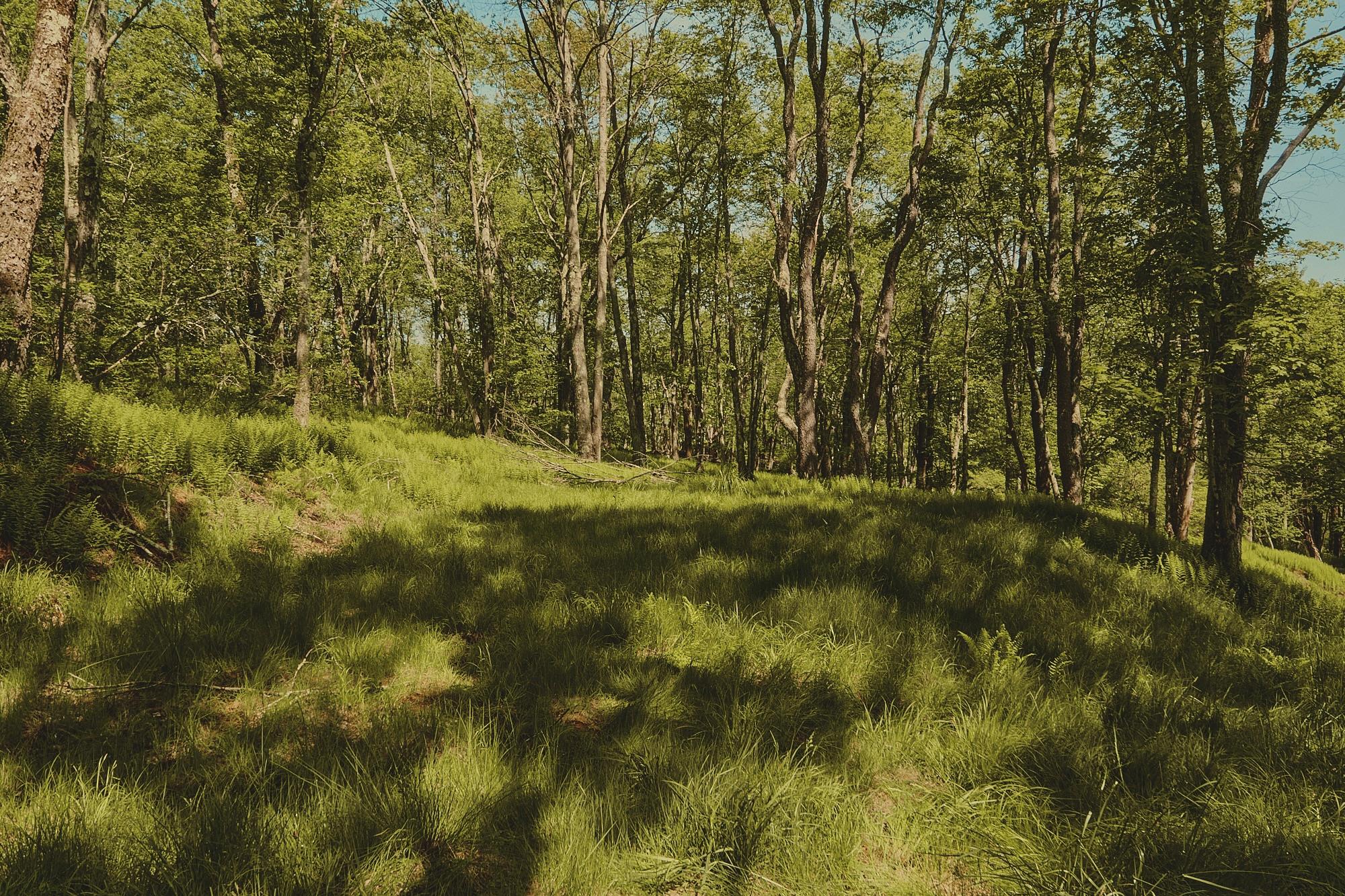 #9 photo, 00 Benton Hollow, Liberty , NY 12754