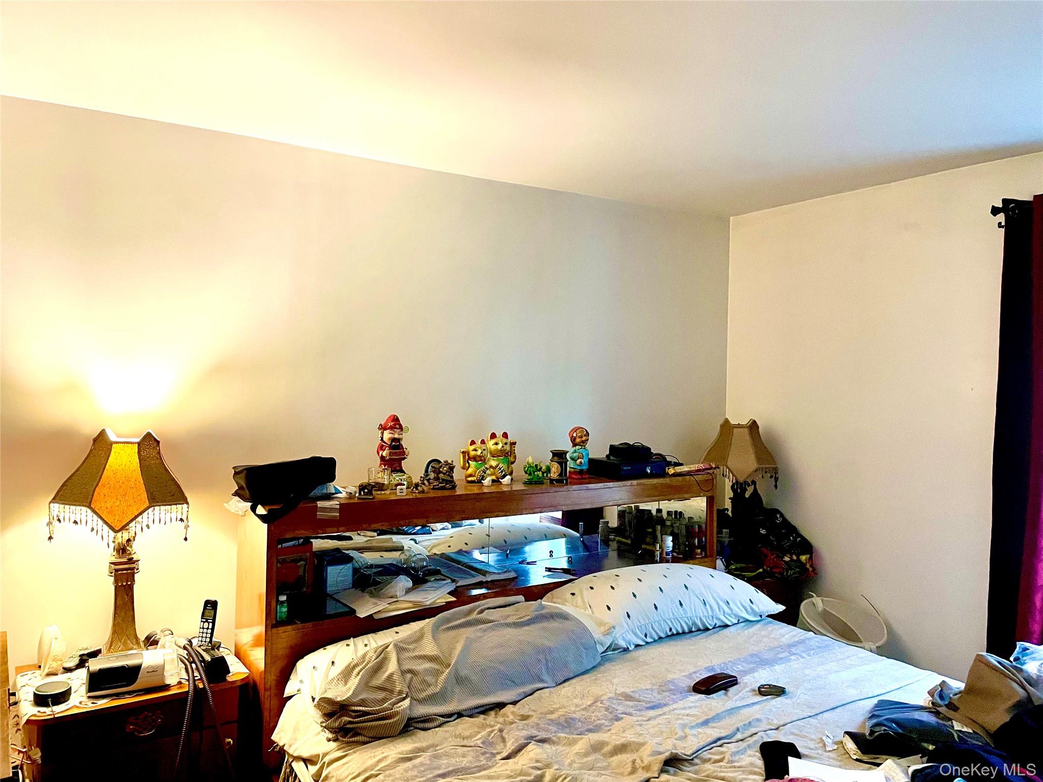 #14 photo, 657 Snediker Avenue, ブルックリン区 Brooklyn , NY 11207