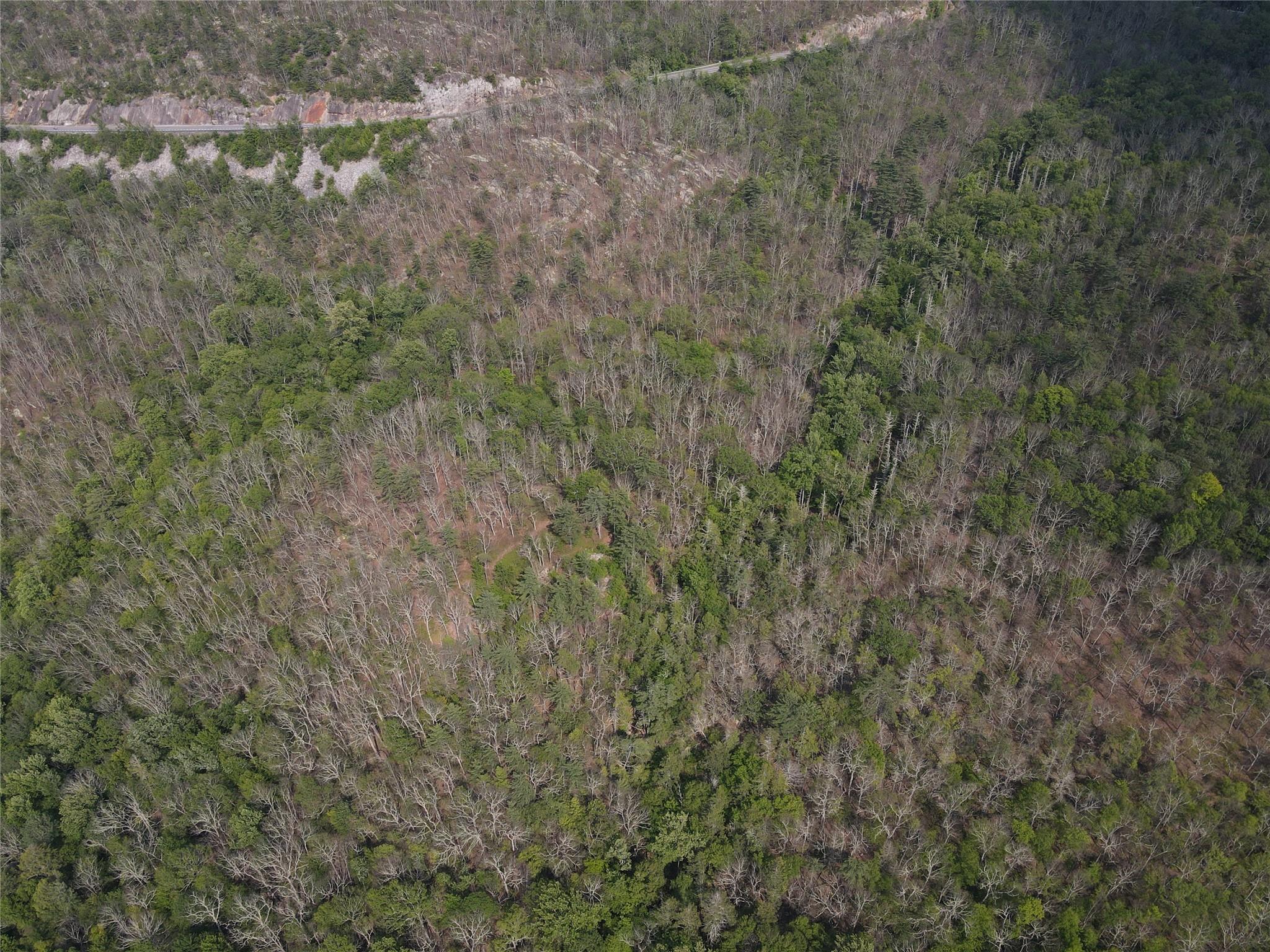 #10 photo, Route 52, Ellenville , NY 12489