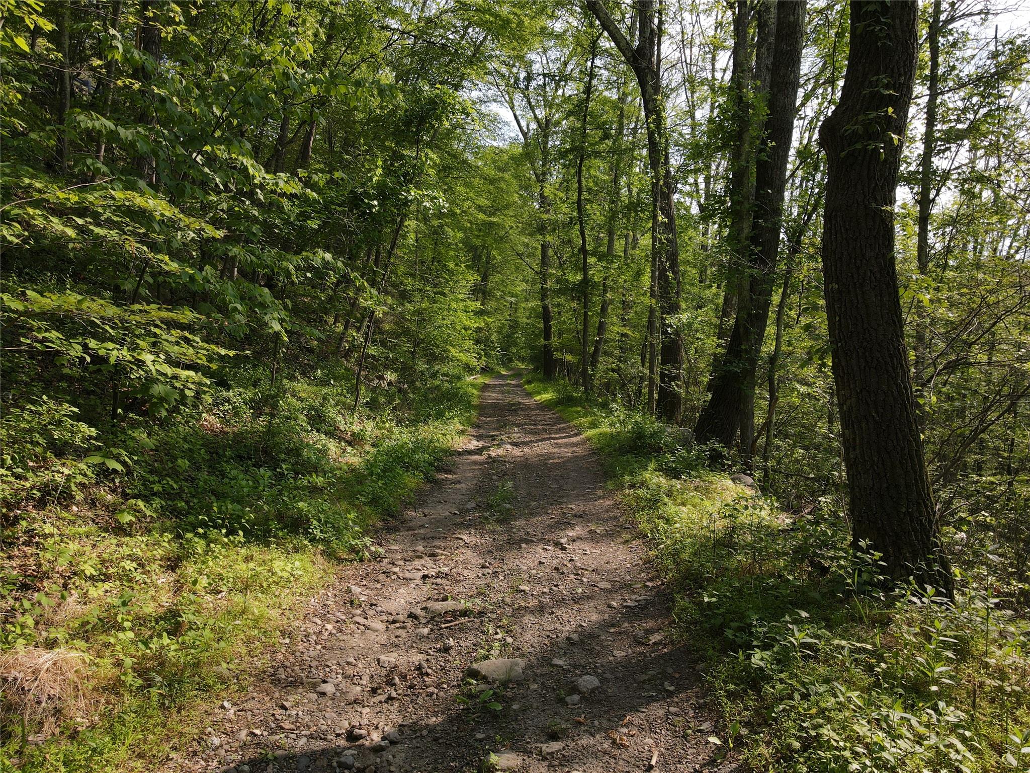 #18 photo, Route 52, Ellenville , NY 12489