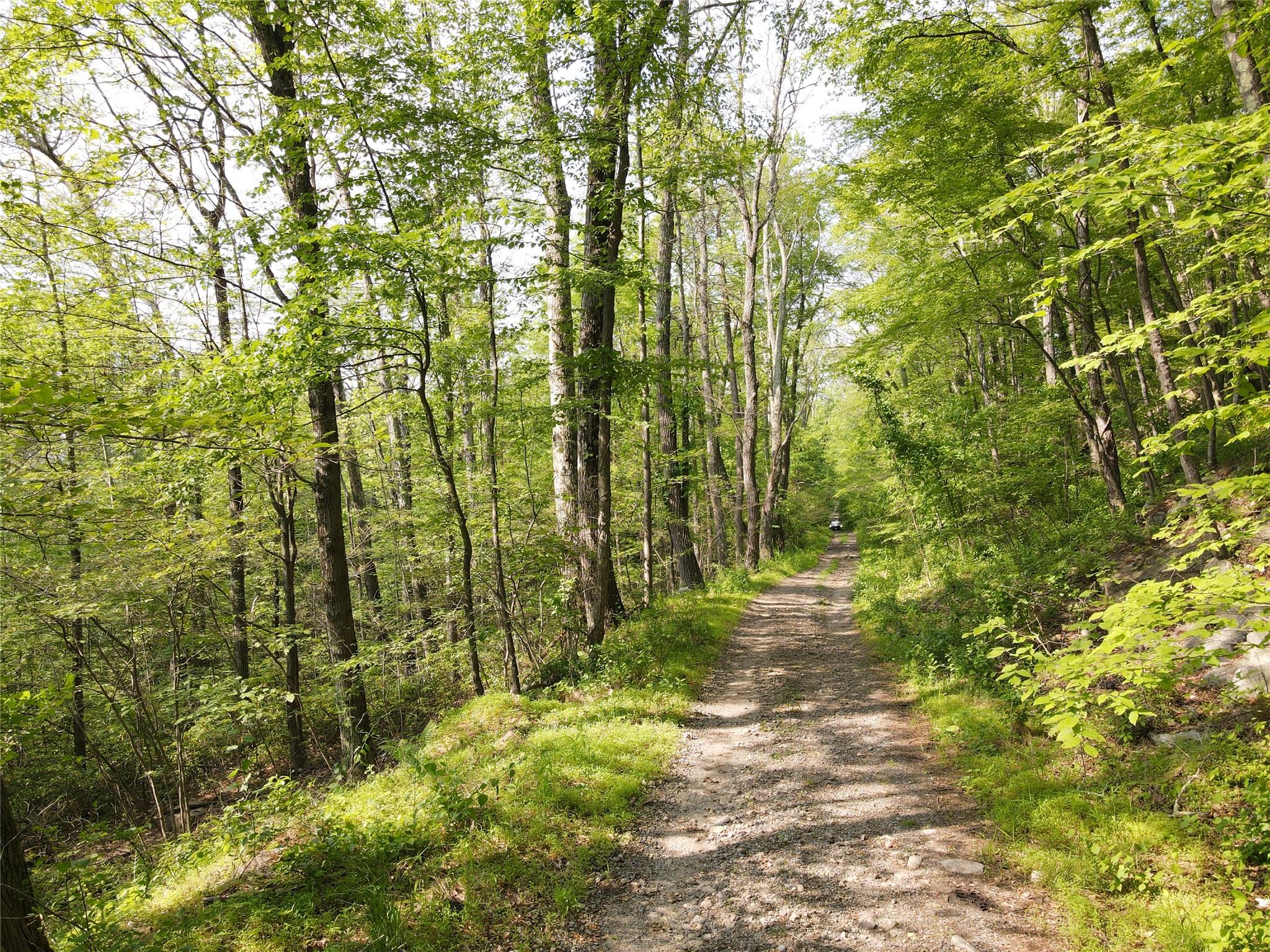 #19 photo, Route 52, Ellenville , NY 12489