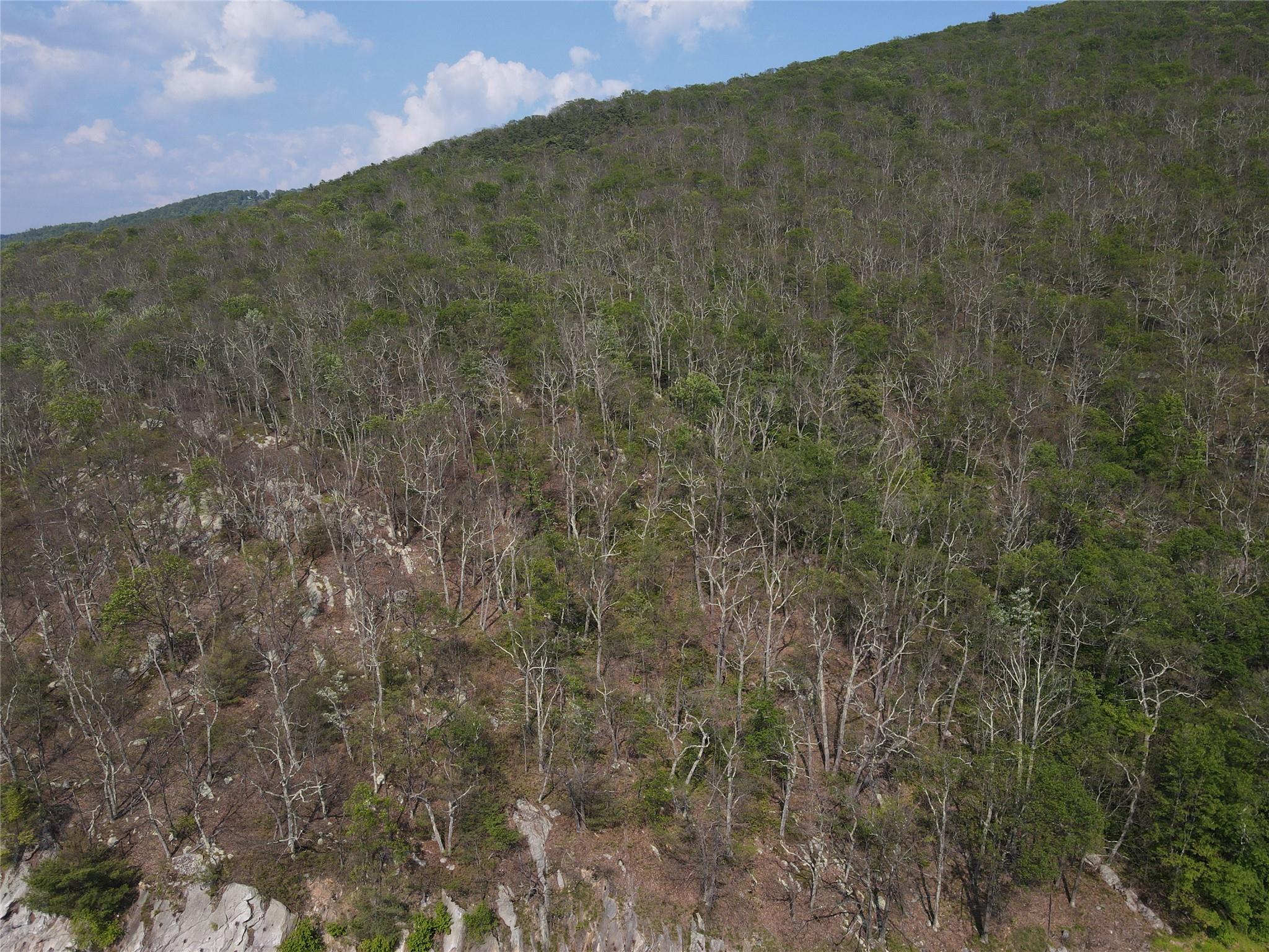 #2 photo, Route 52, Ellenville , NY 12489