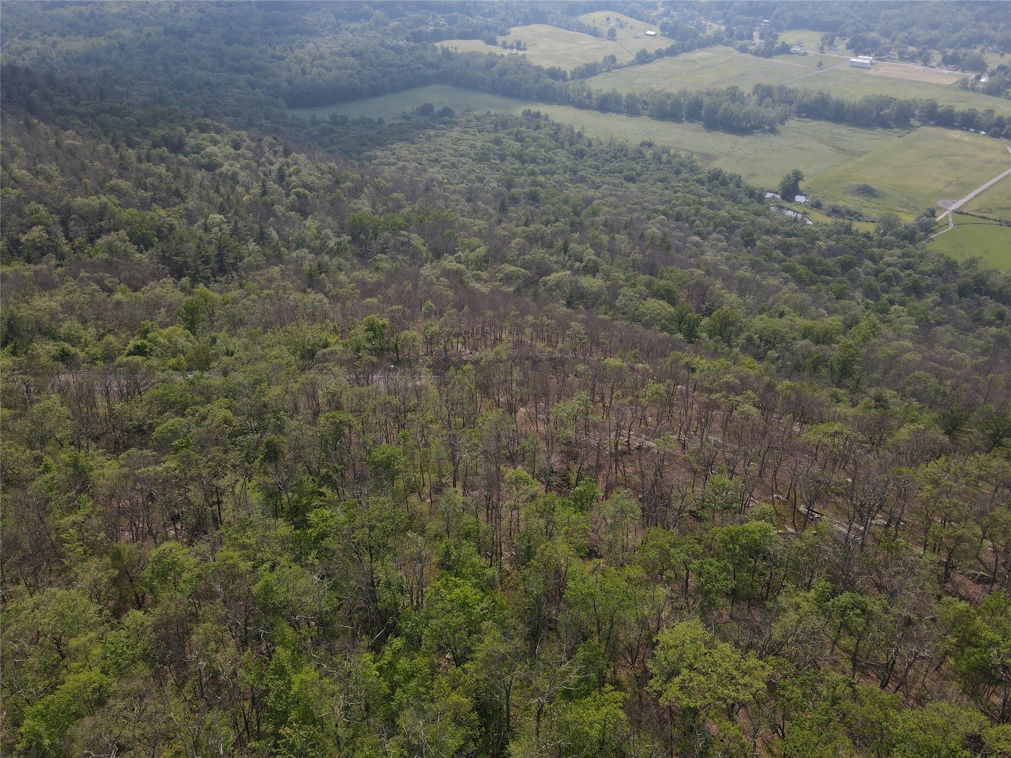 #7 photo, Route 52, Ellenville , NY 12489