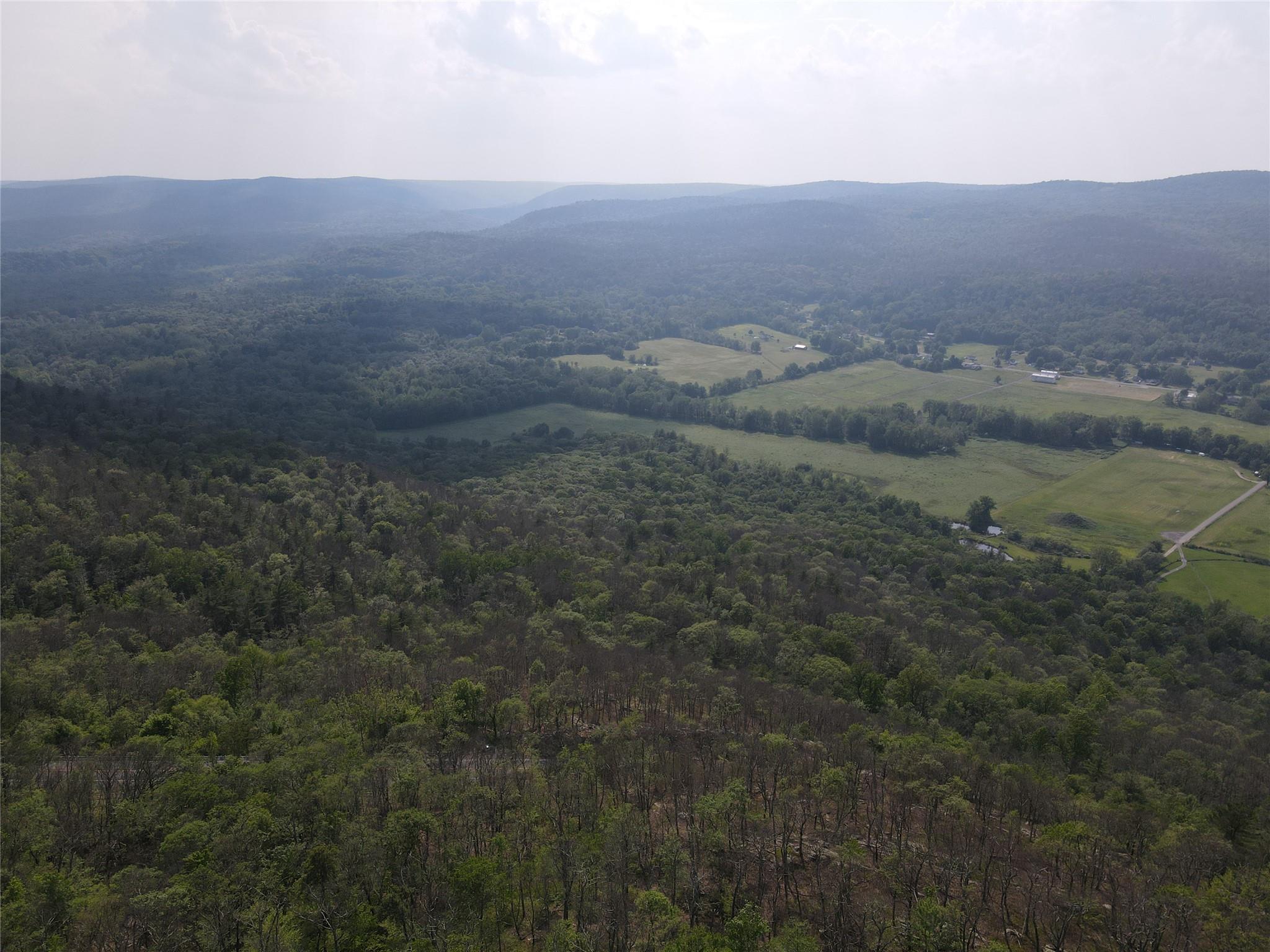 #8 photo, Route 52, Ellenville , NY 12489