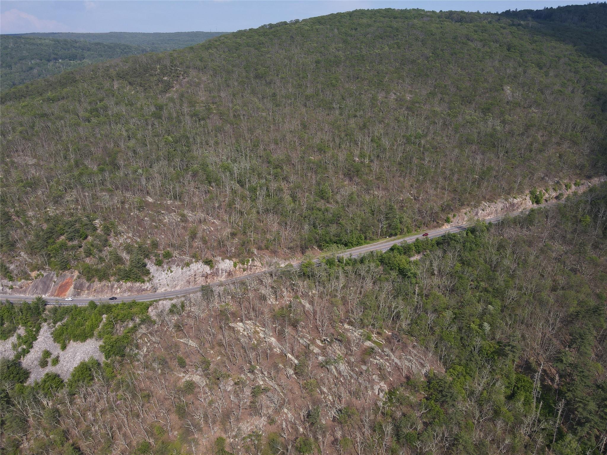 #9 photo, Route 52, Ellenville , NY 12489