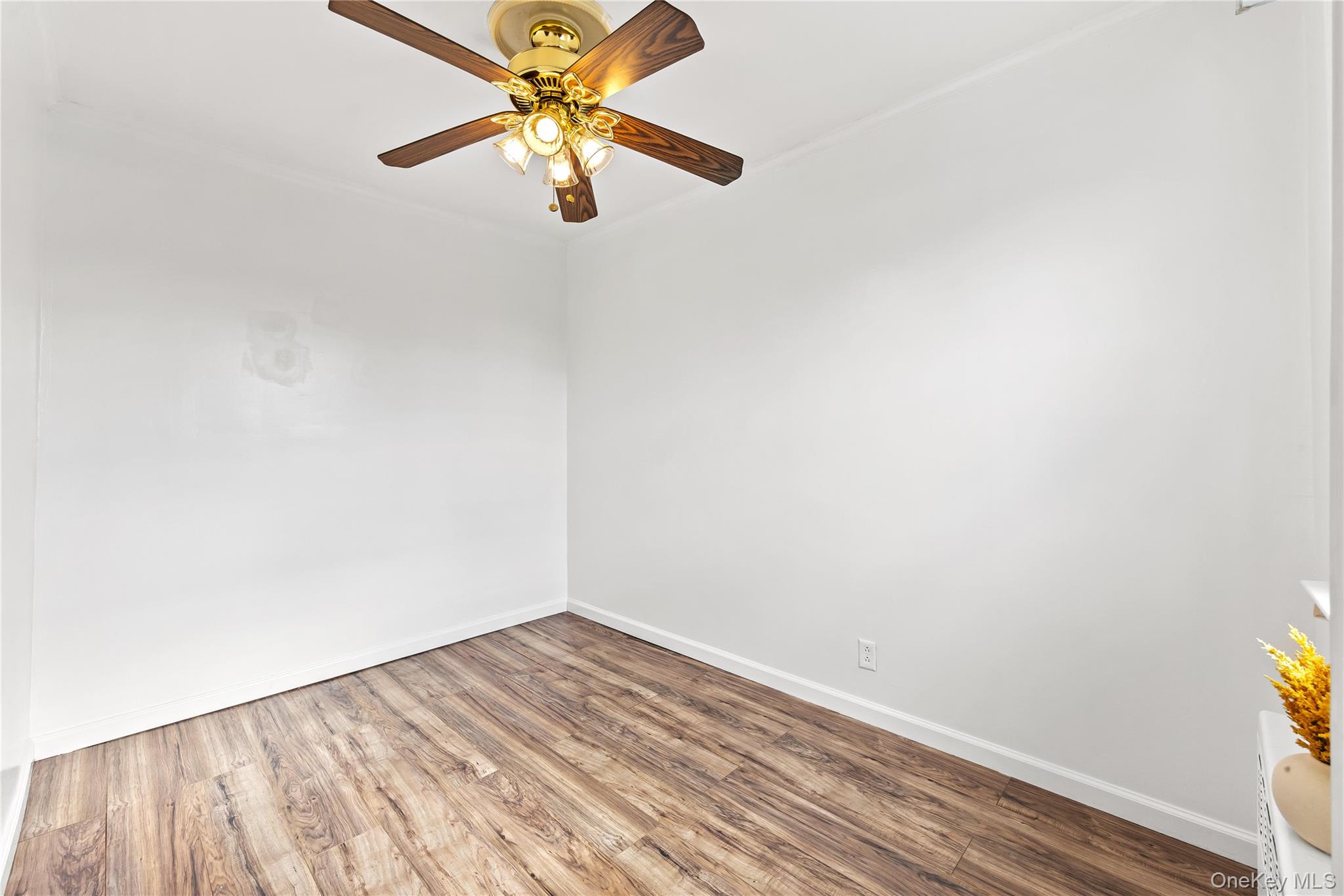 #8 photo, 5-39 117 Street, クイーンズ区 College Point , NY 11356