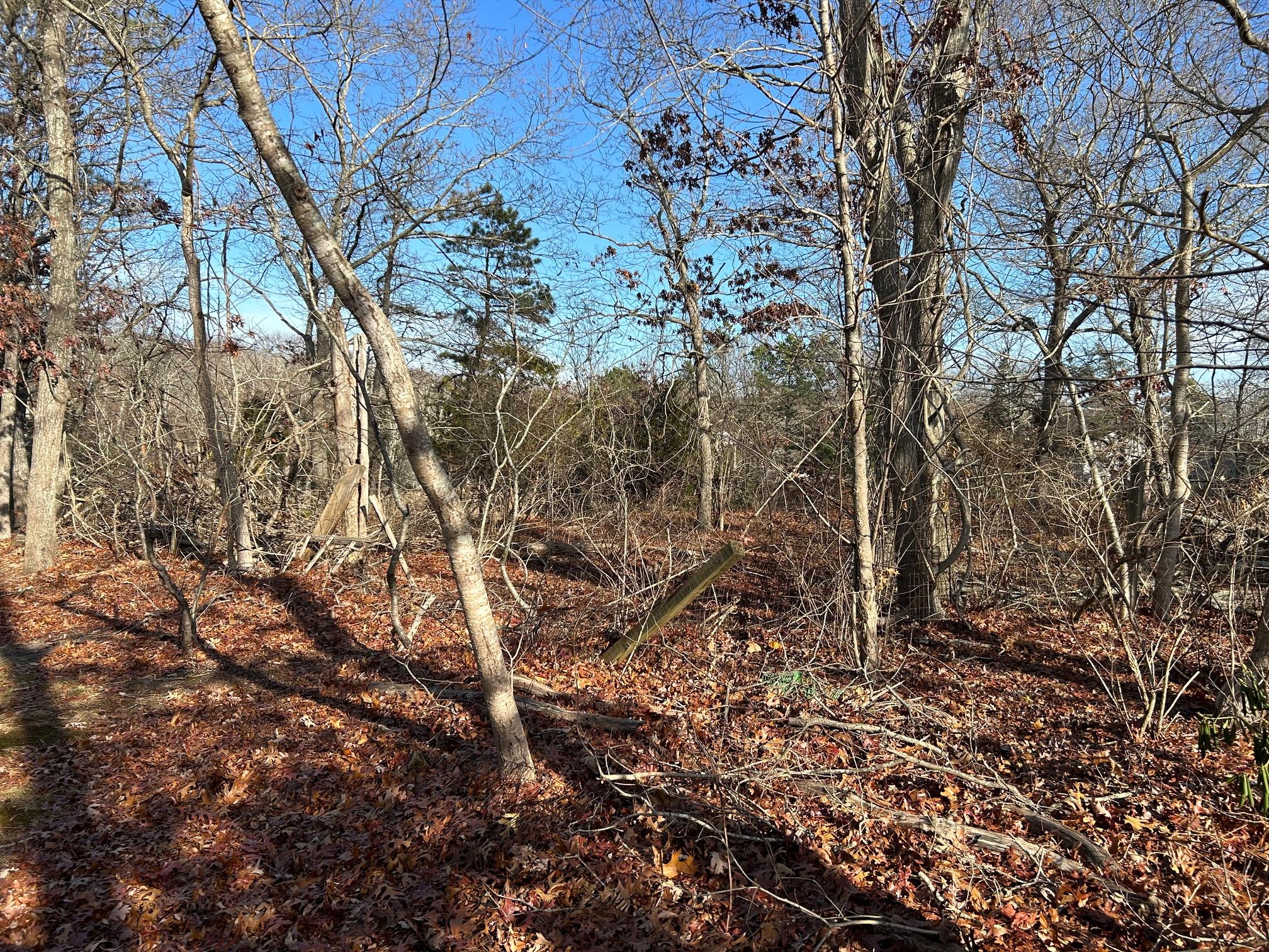 #6 photo, 267 Old Country Road, サフォーク郡 Eastport , NY 11941