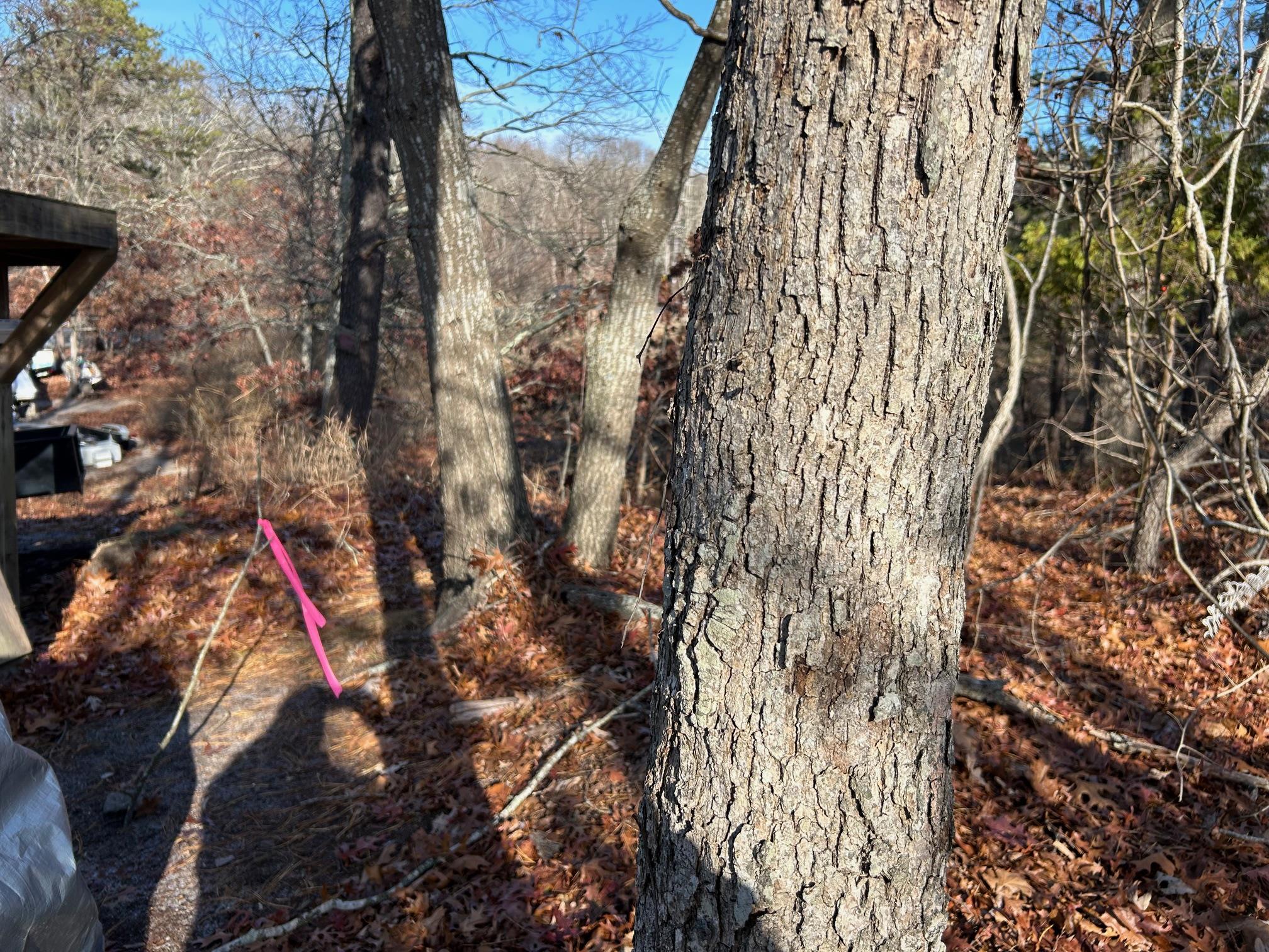 #7 photo, 267 Old Country Road, サフォーク郡 Eastport , NY 11941