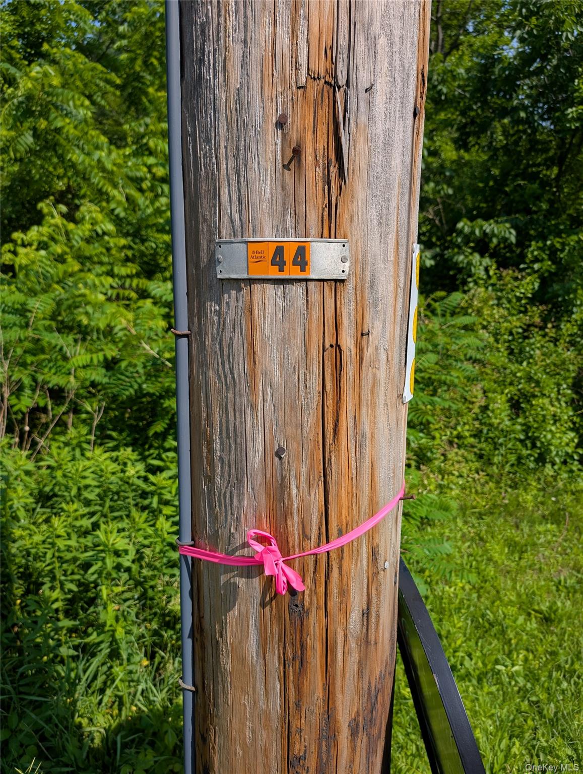 #2 photo, Rt-82, Pleasant Valley , NY 12569