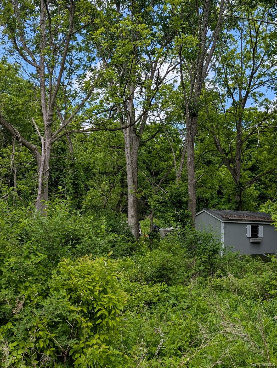 #3 photo, Rt-82, Pleasant Valley , NY 12569