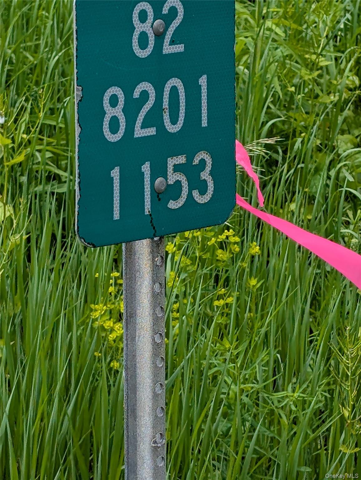 #4 photo, Rt-82, Pleasant Valley , NY 12569