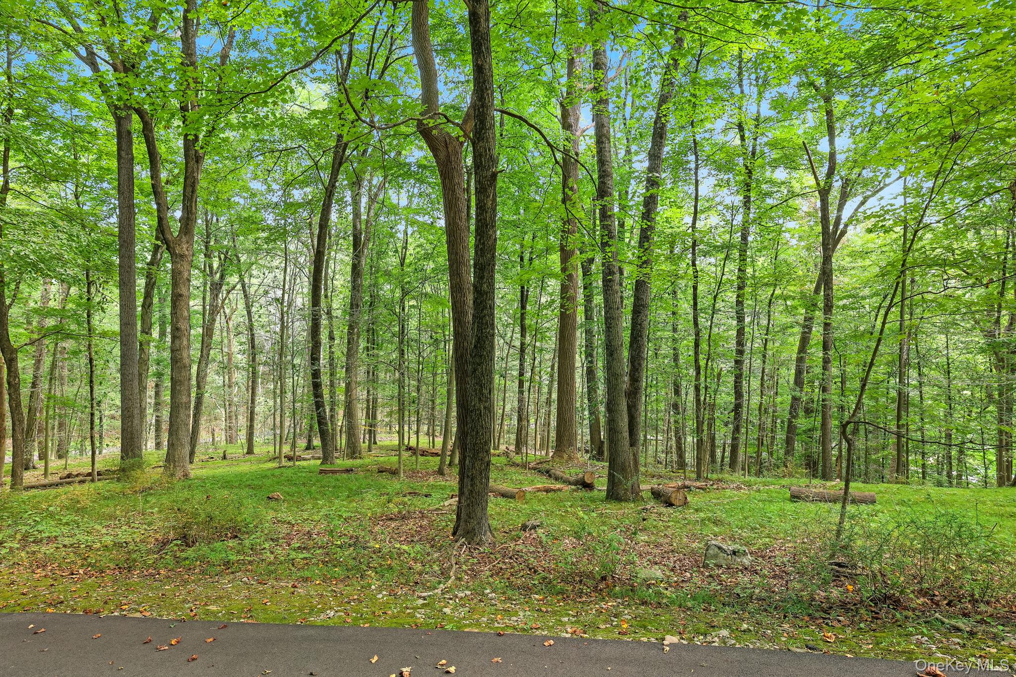 #2 photo, 7 Vincent Lane, Armonk , NY 10504