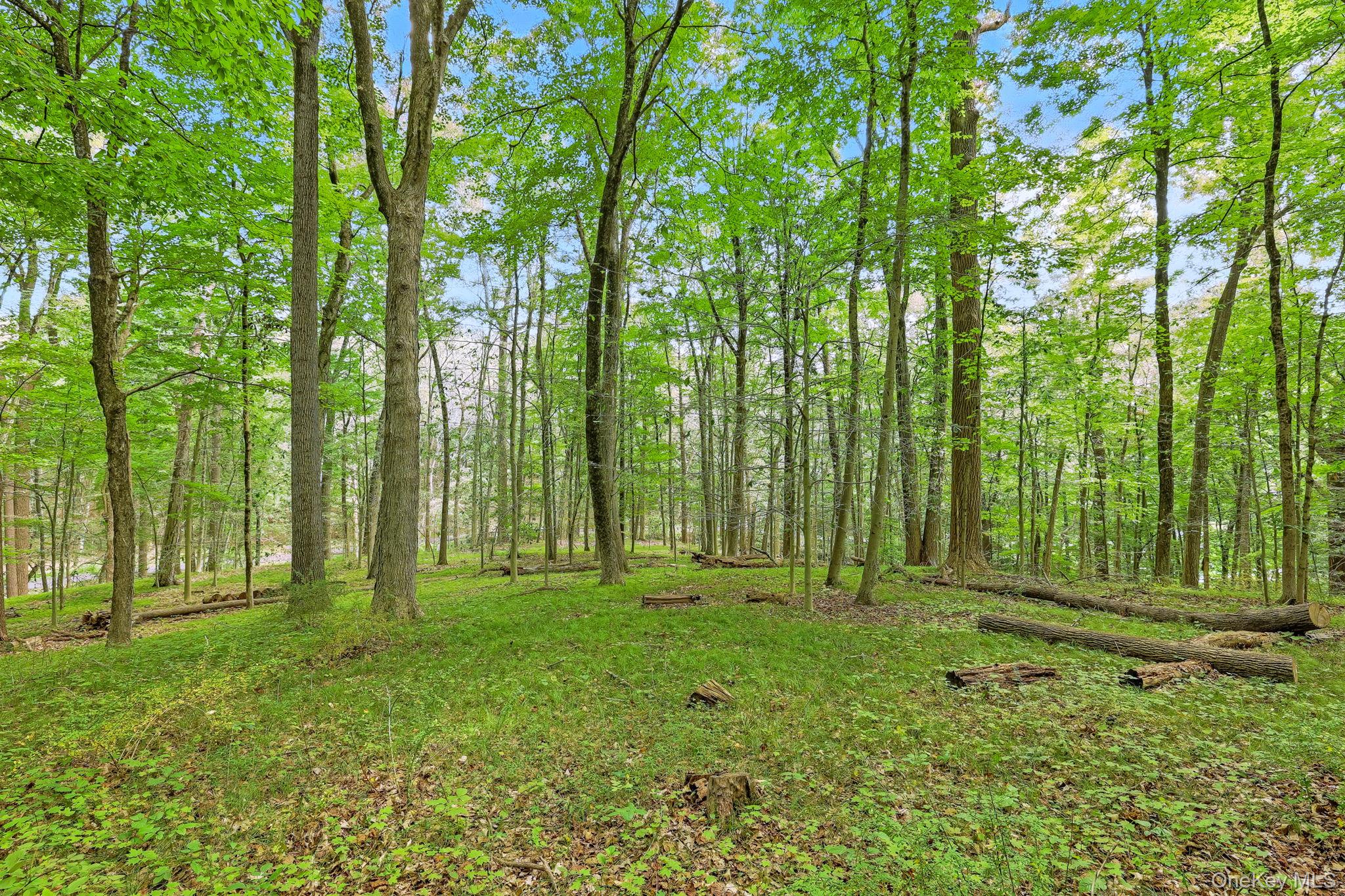 #4 photo, 7 Vincent Lane, Armonk , NY 10504