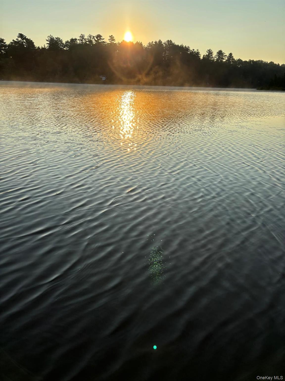 #2 photo, Starlight Drive, Smallwood , NY 