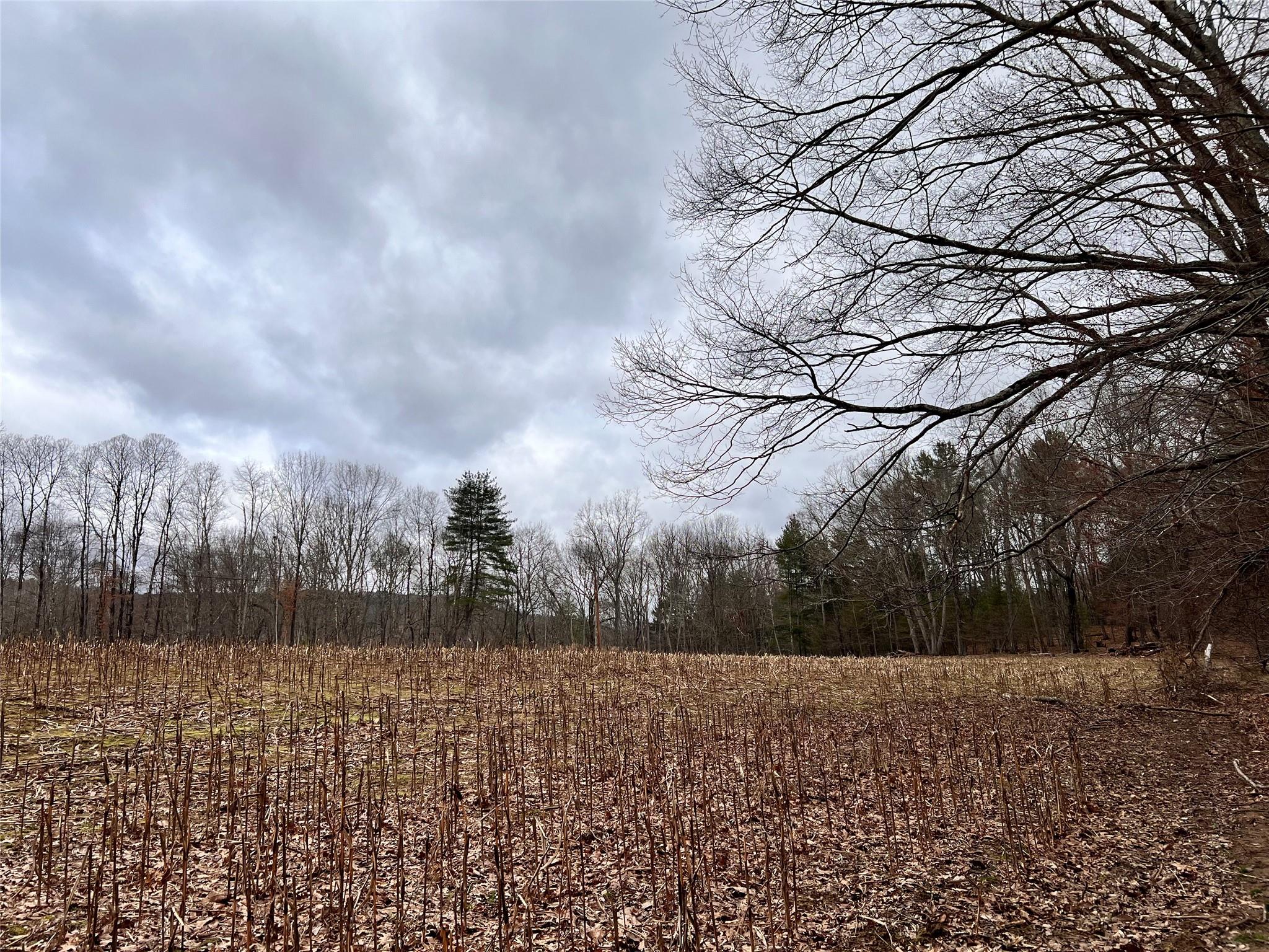 #2 photo, 00 state route 97 Route, Cochecton , NY 12726