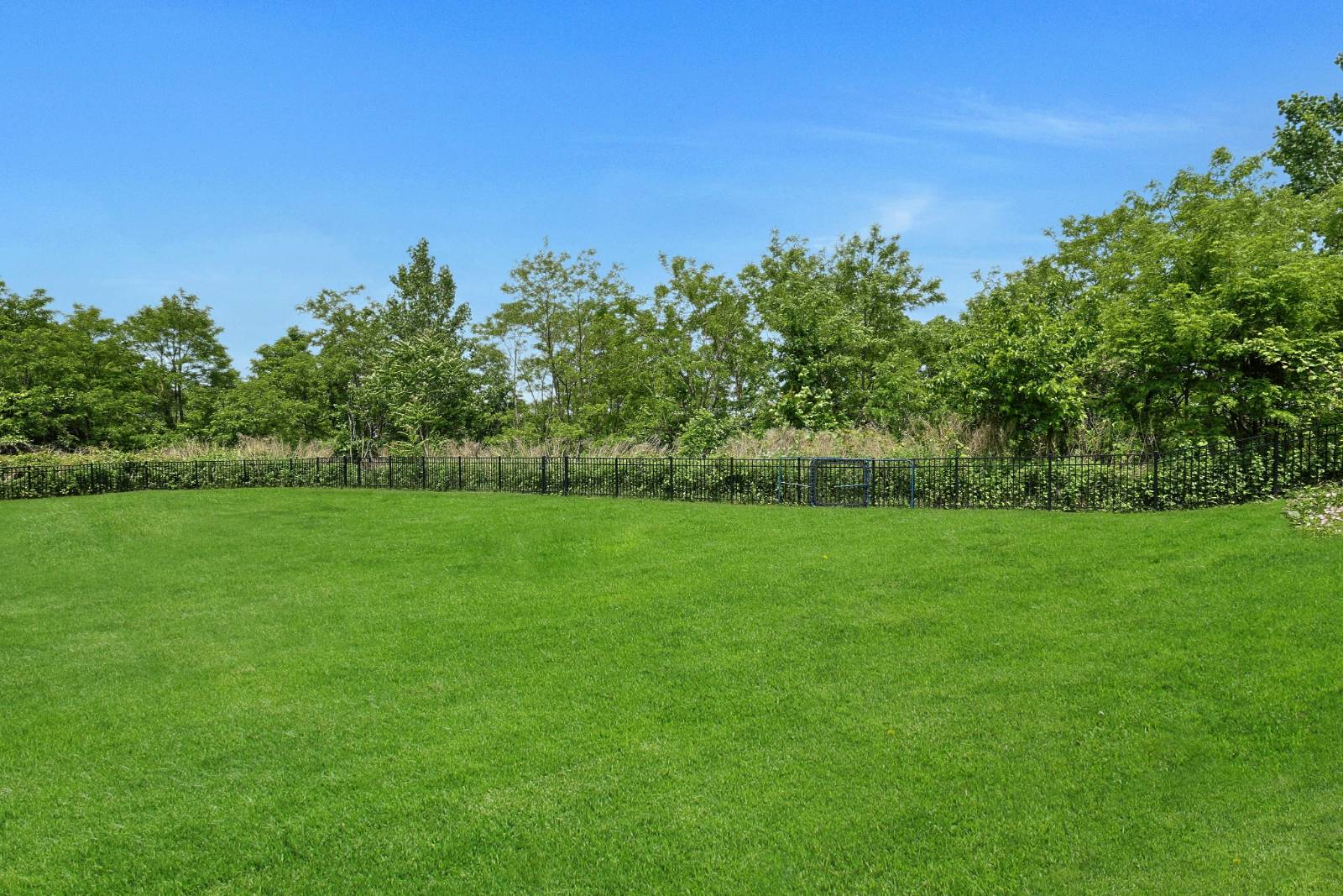 #7 photo, 5310 Grosvenor Avenue, ブロンクス区 Fieldston , NY 10471