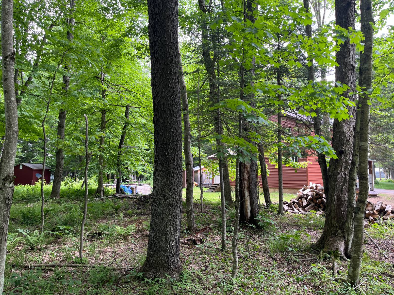 #13 photo, 40 Cooks Pond Rd, Cranberry Lake , NY 12927