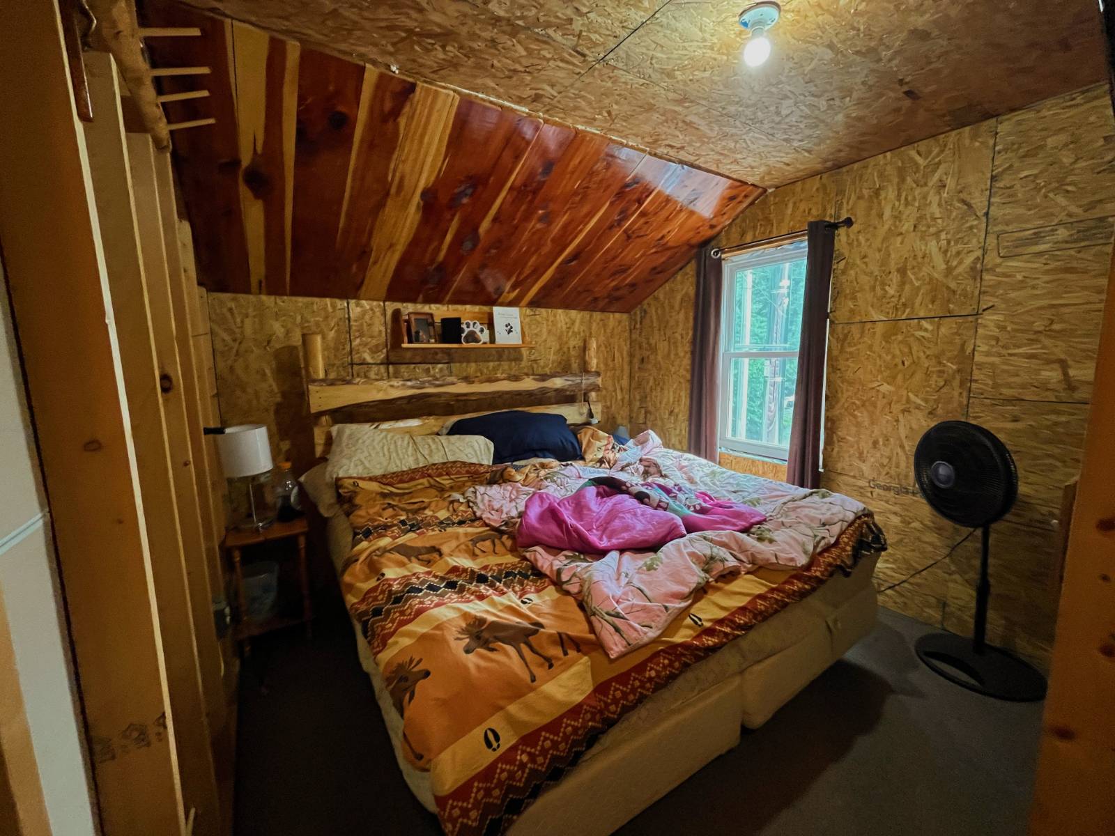 #28 photo, 40 Cooks Pond Rd, Cranberry Lake , NY 12927