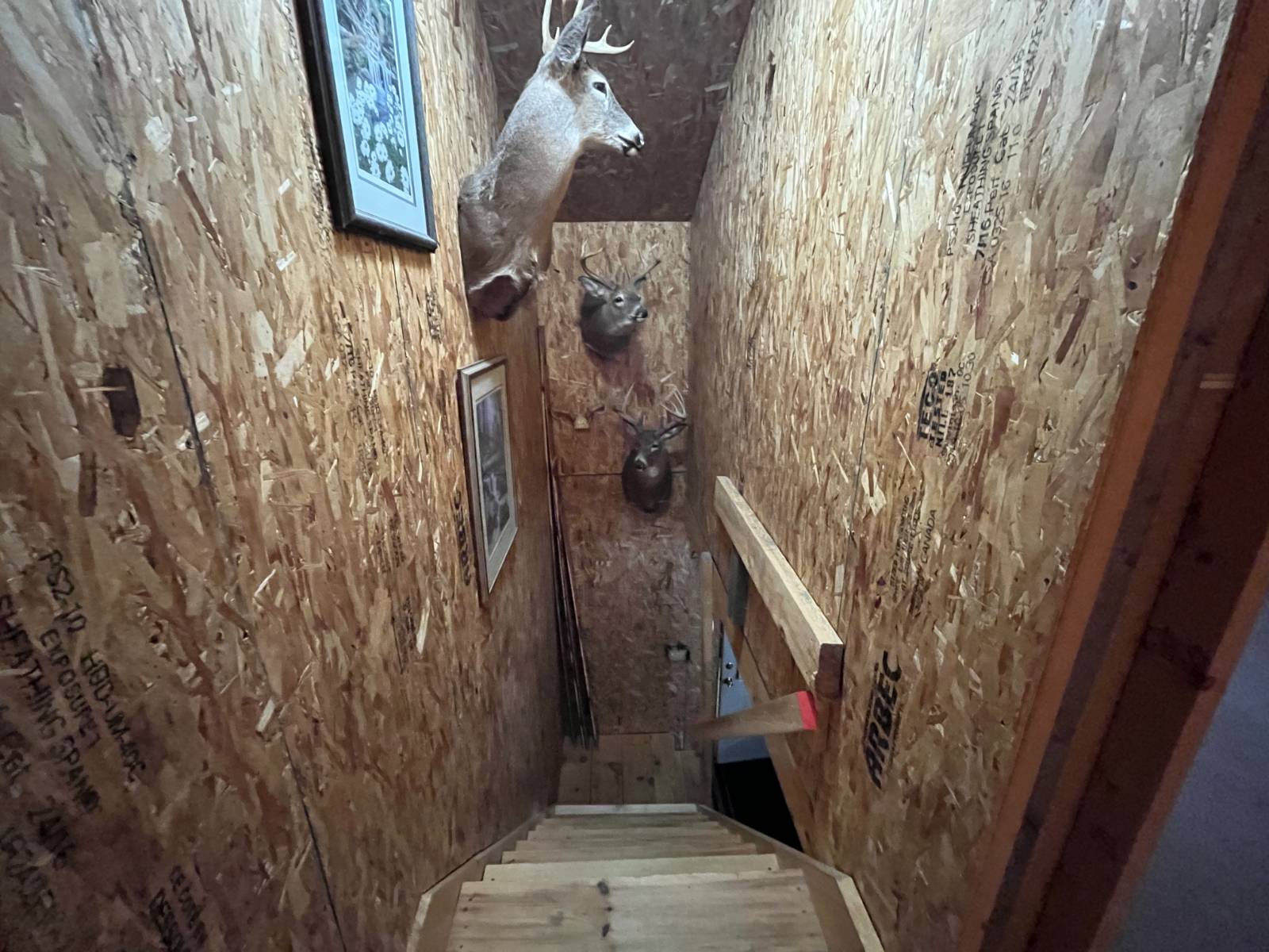 #29 photo, 40 Cooks Pond Rd, Cranberry Lake , NY 12927