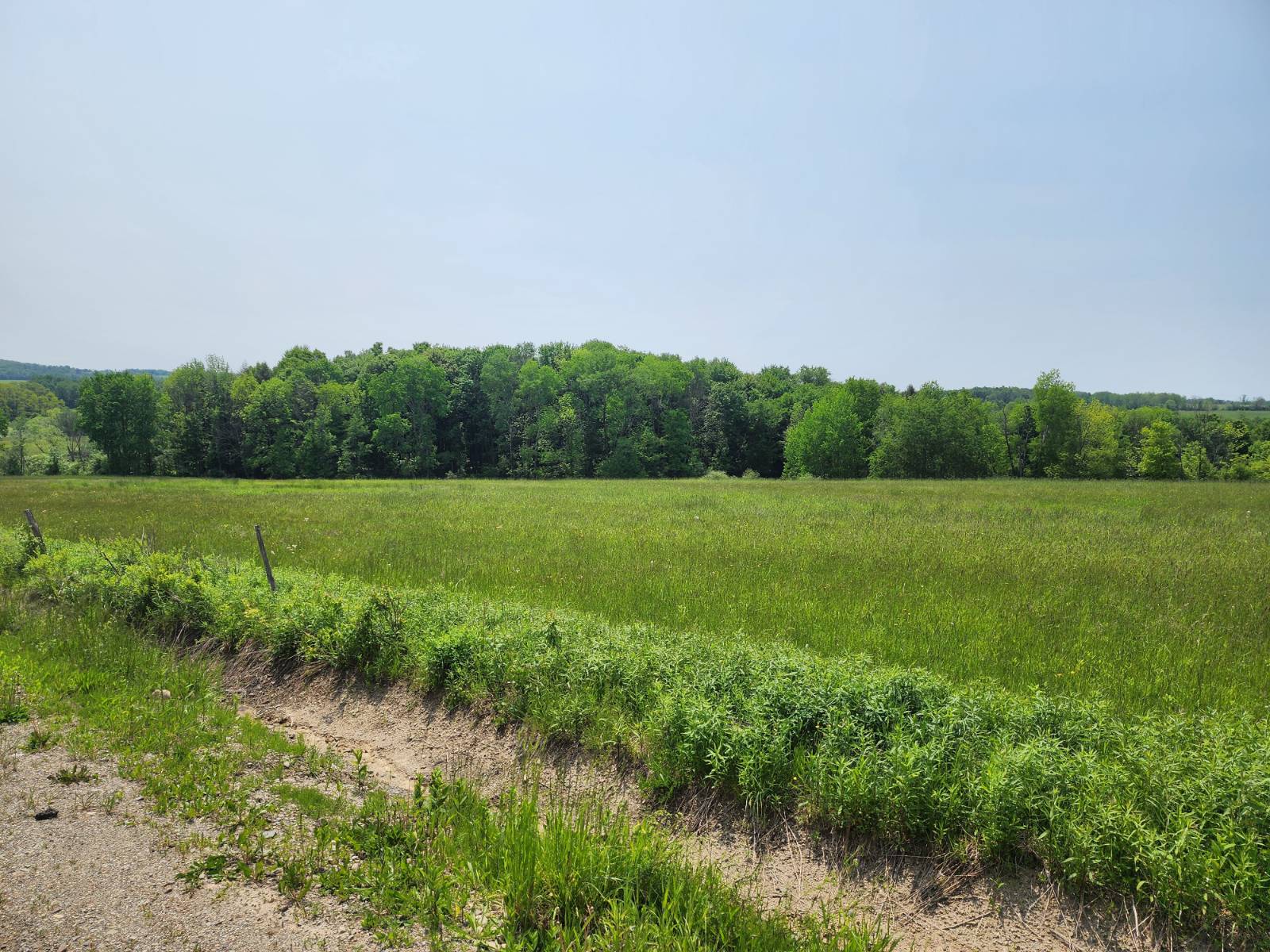 #2 photo, 0 County Road #13, Ripley , NY 14775