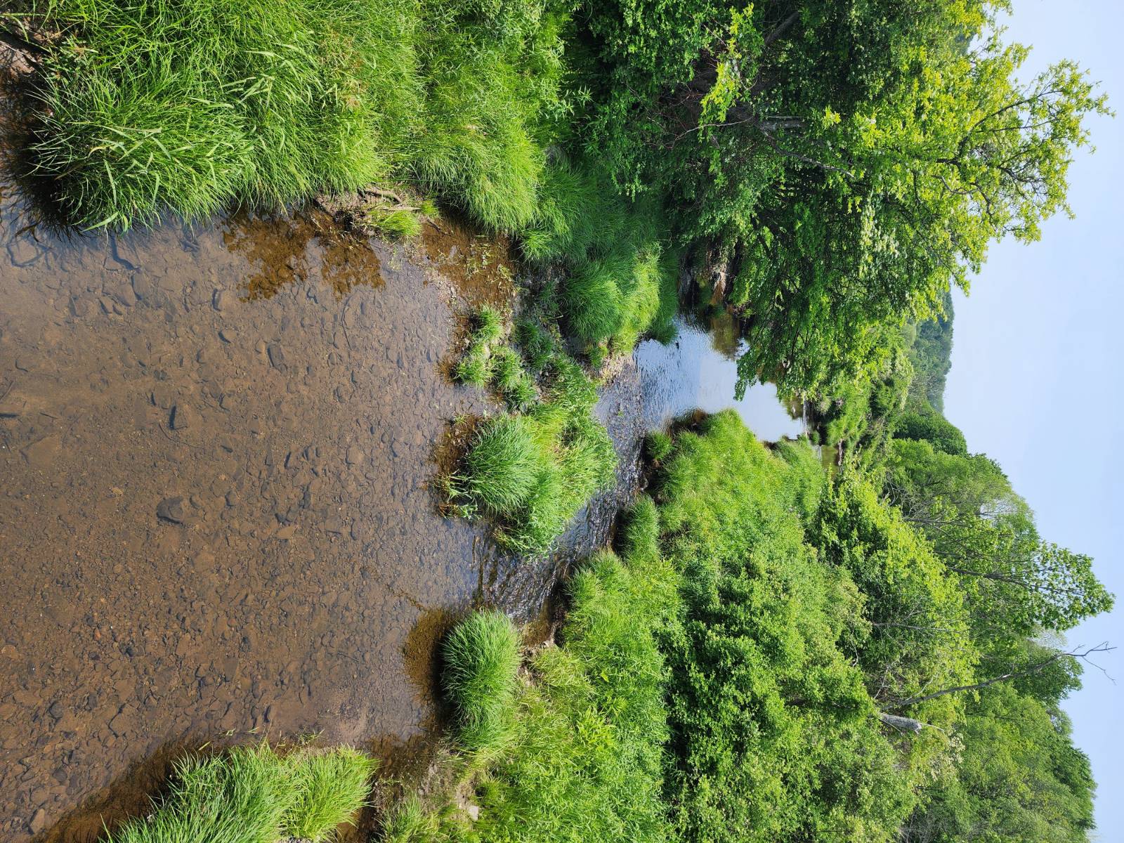 #4 photo, 0 County Road #13, Ripley , NY 14775