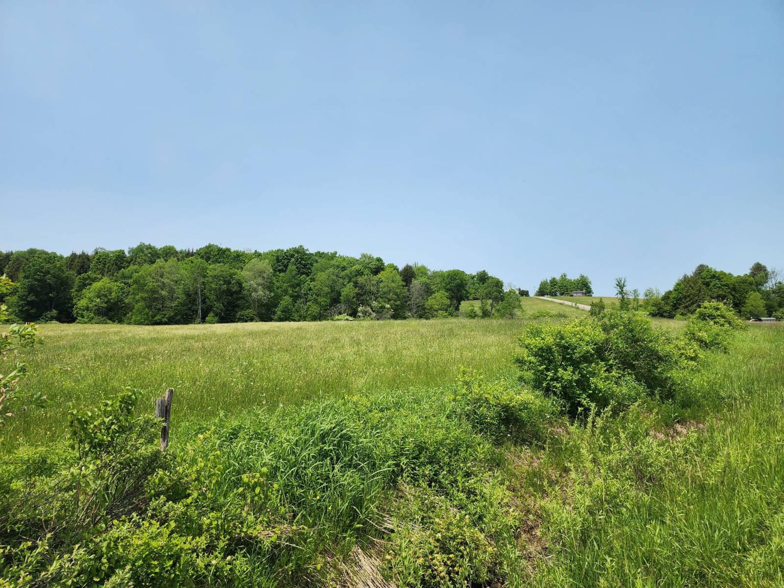 #5 photo, 0 County Road #13, Ripley , NY 14775