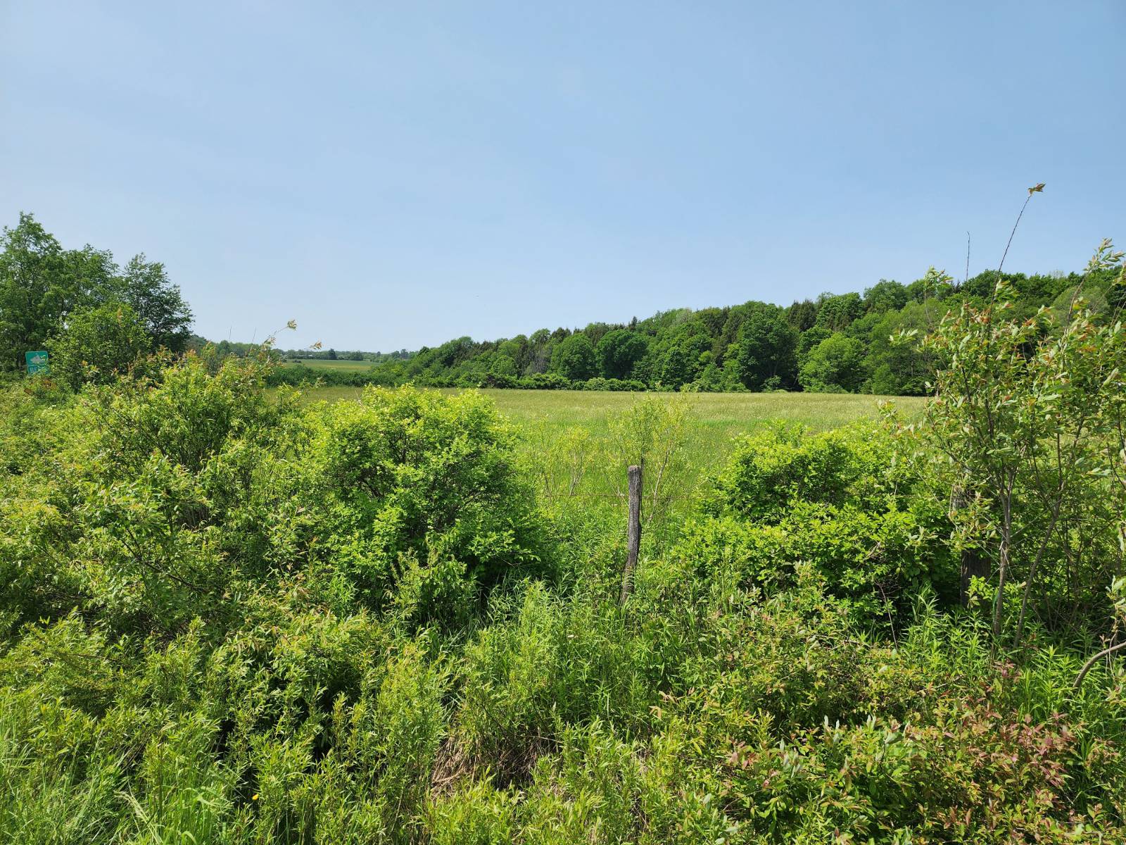 #6 photo, 0 County Road #13, Ripley , NY 14775