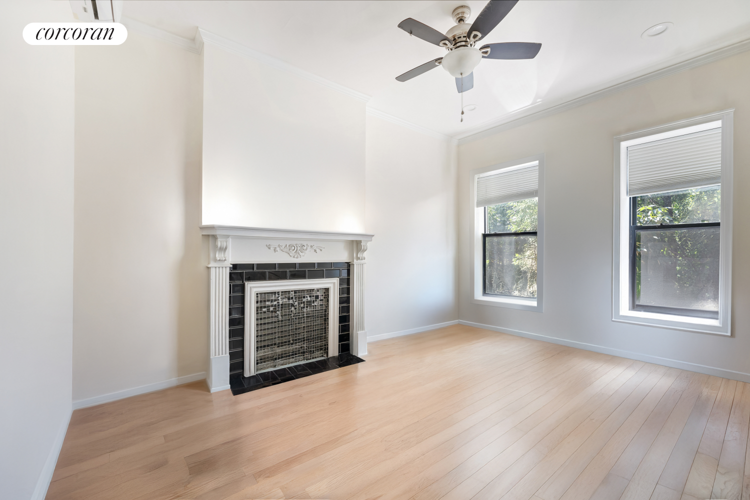 #21 photo, 607 HALSEY Street, ブルックリン区 Stuyvesant Heights , NY 11233