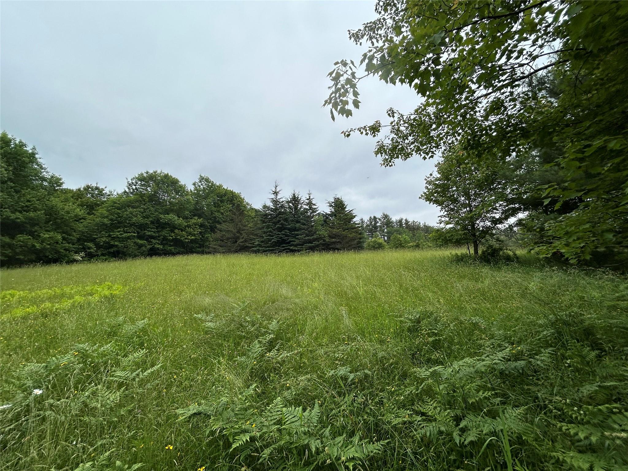 #1 photo, County Hwy 28, 紐約州 Long Eddy , NY 12760