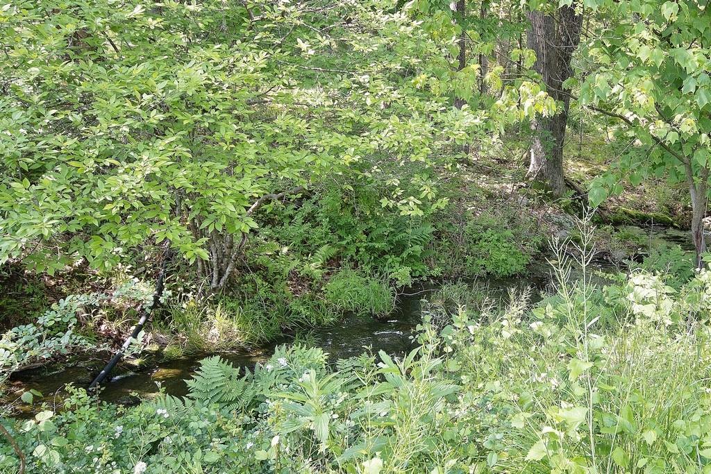 #10 photo, 169 Mitchell Pond Road, Cochecton , NY 12726