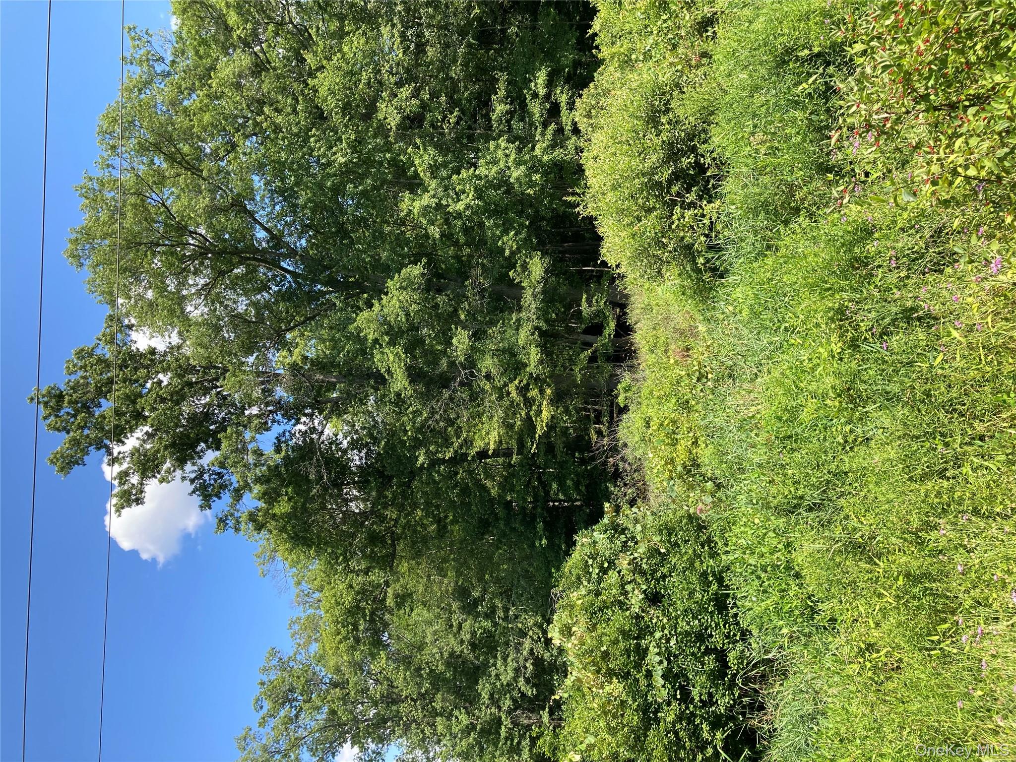 #16 photo, Baxtertown Road, Fishkill , NY 12524