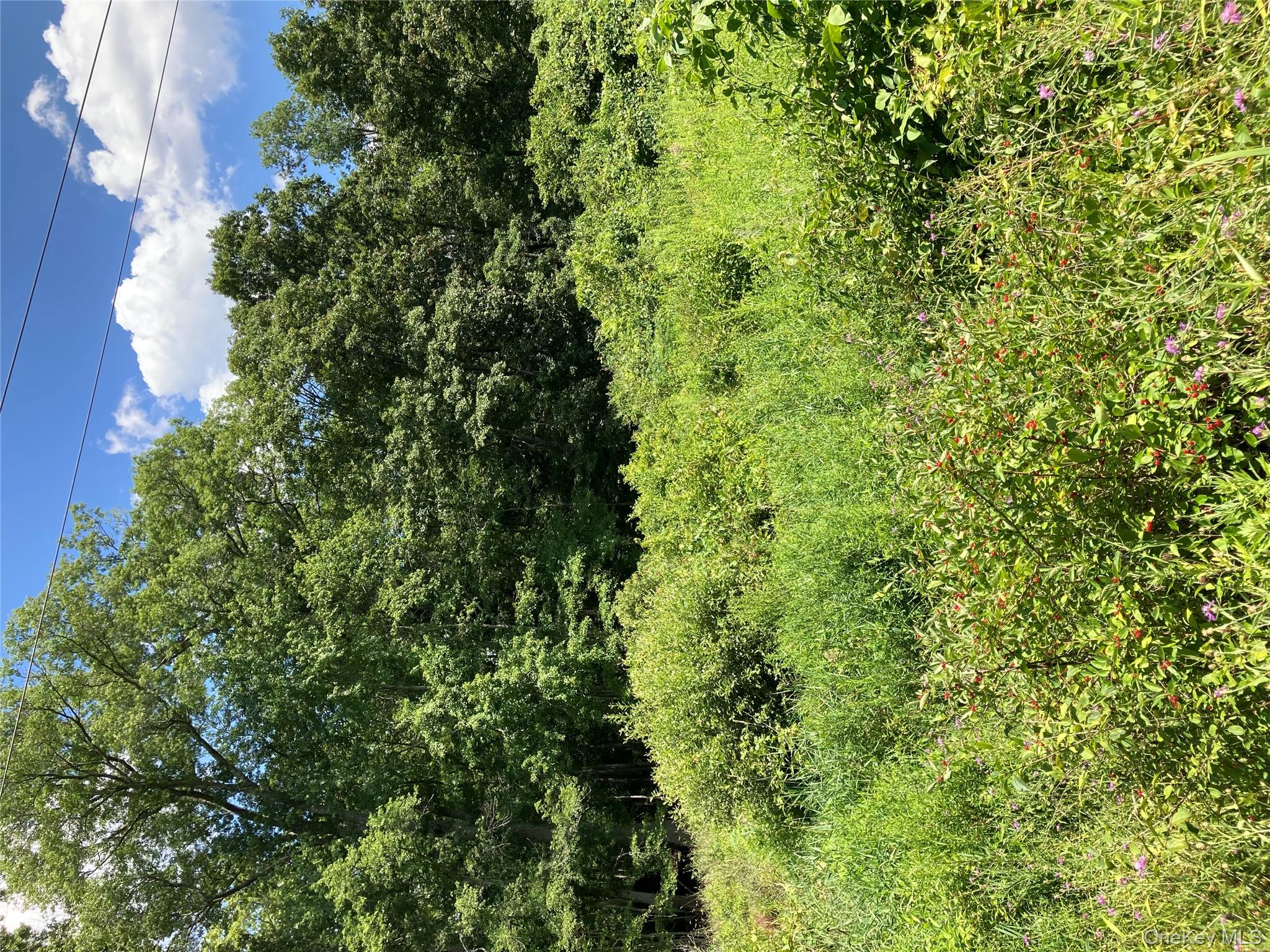 #17 photo, Baxtertown Road, Fishkill , NY 12524