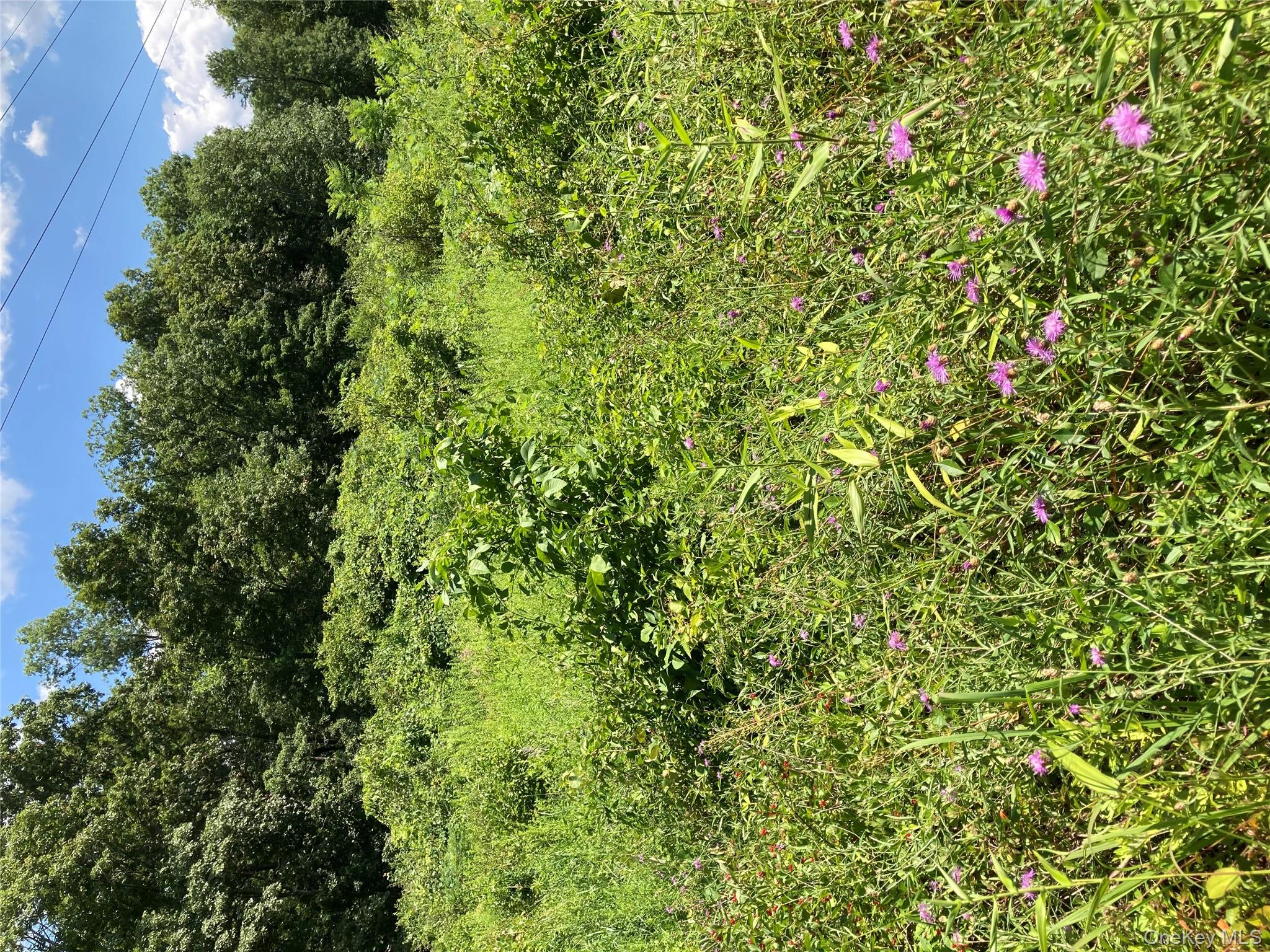 #18 photo, Baxtertown Road, Fishkill , NY 12524